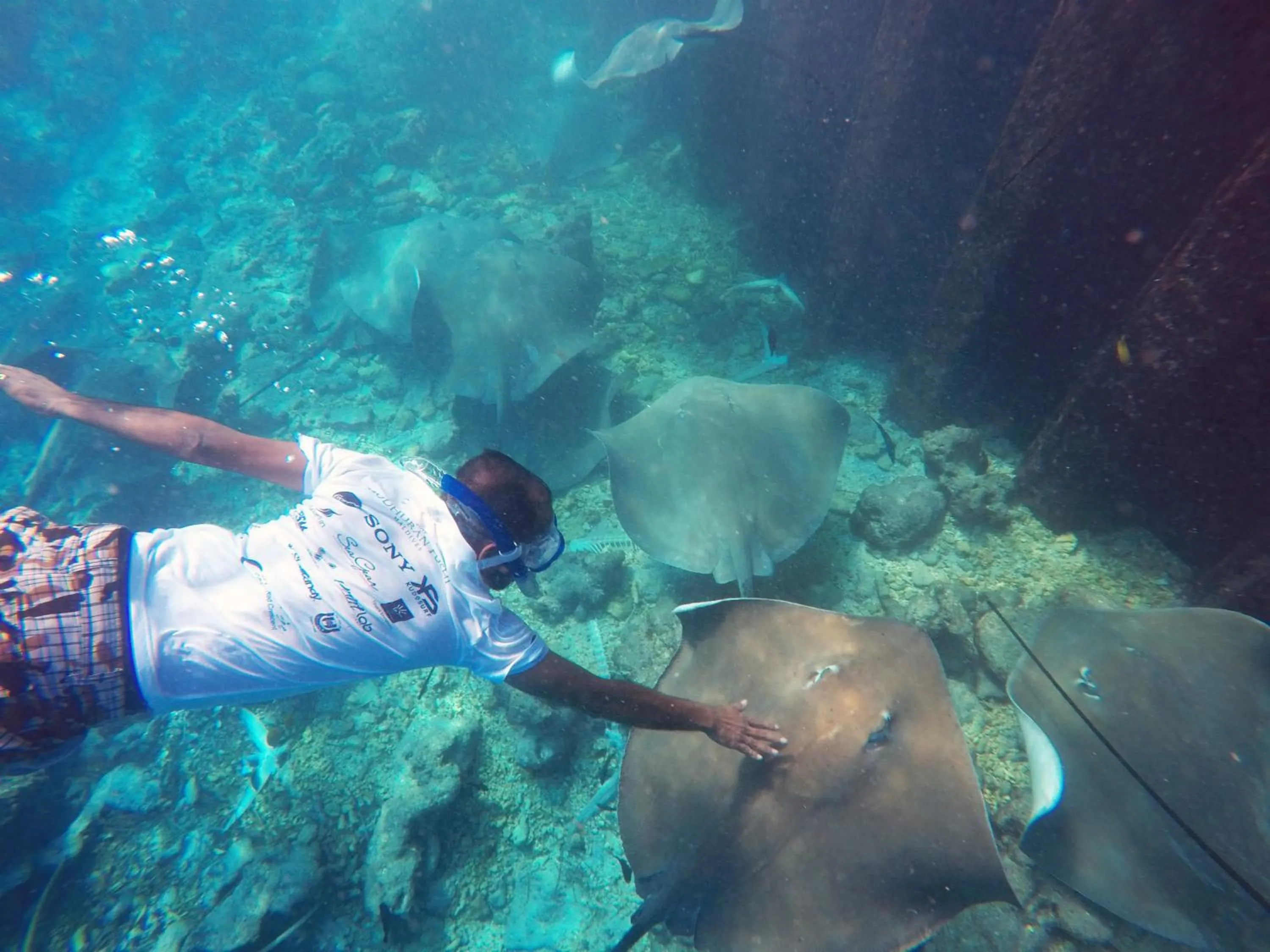 Turquoise Residence by UI