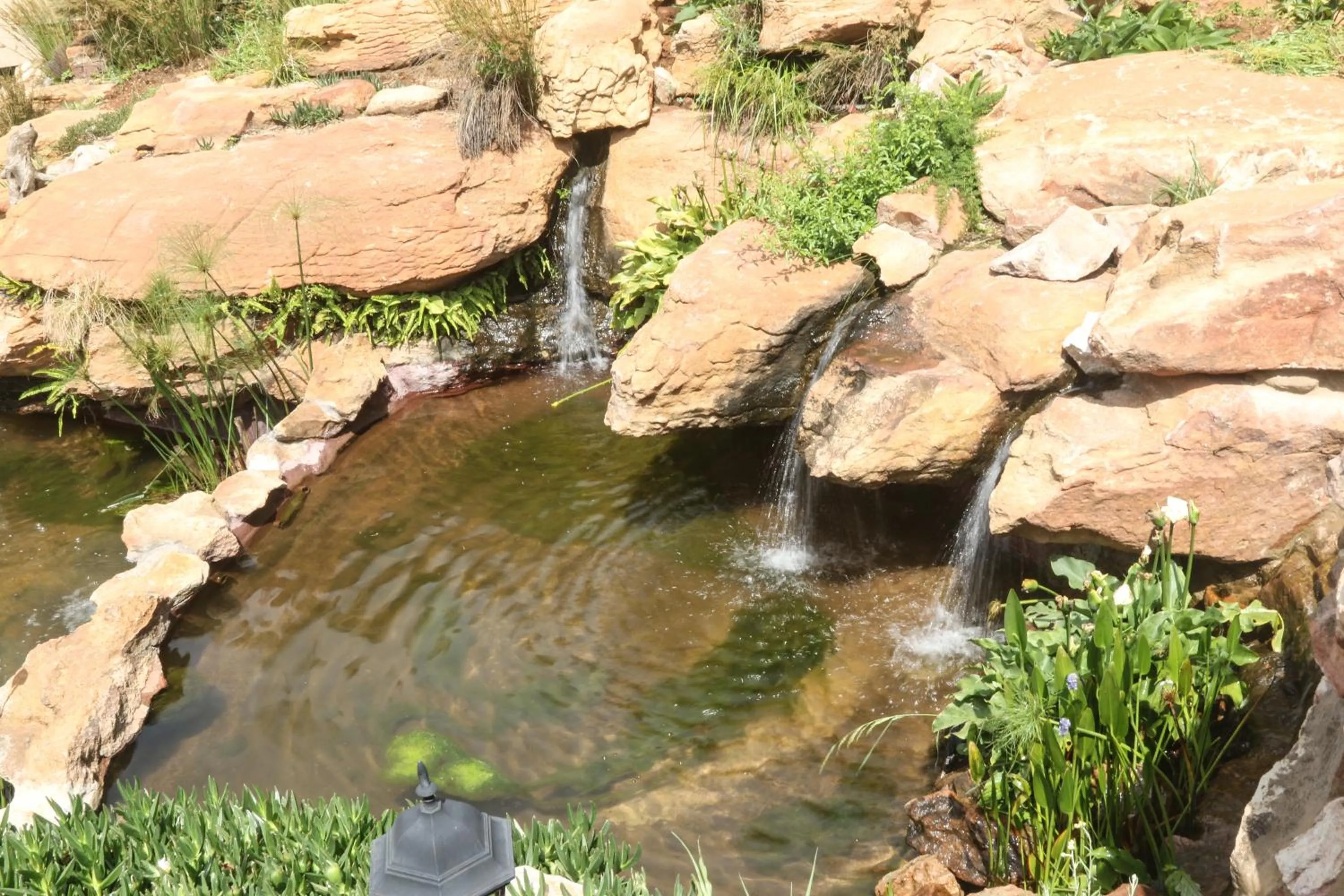 Garden in Heidelberg Kloof Lodge