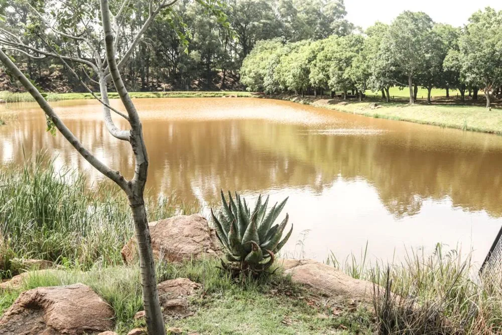 Property building in Heidelberg Kloof Lodge