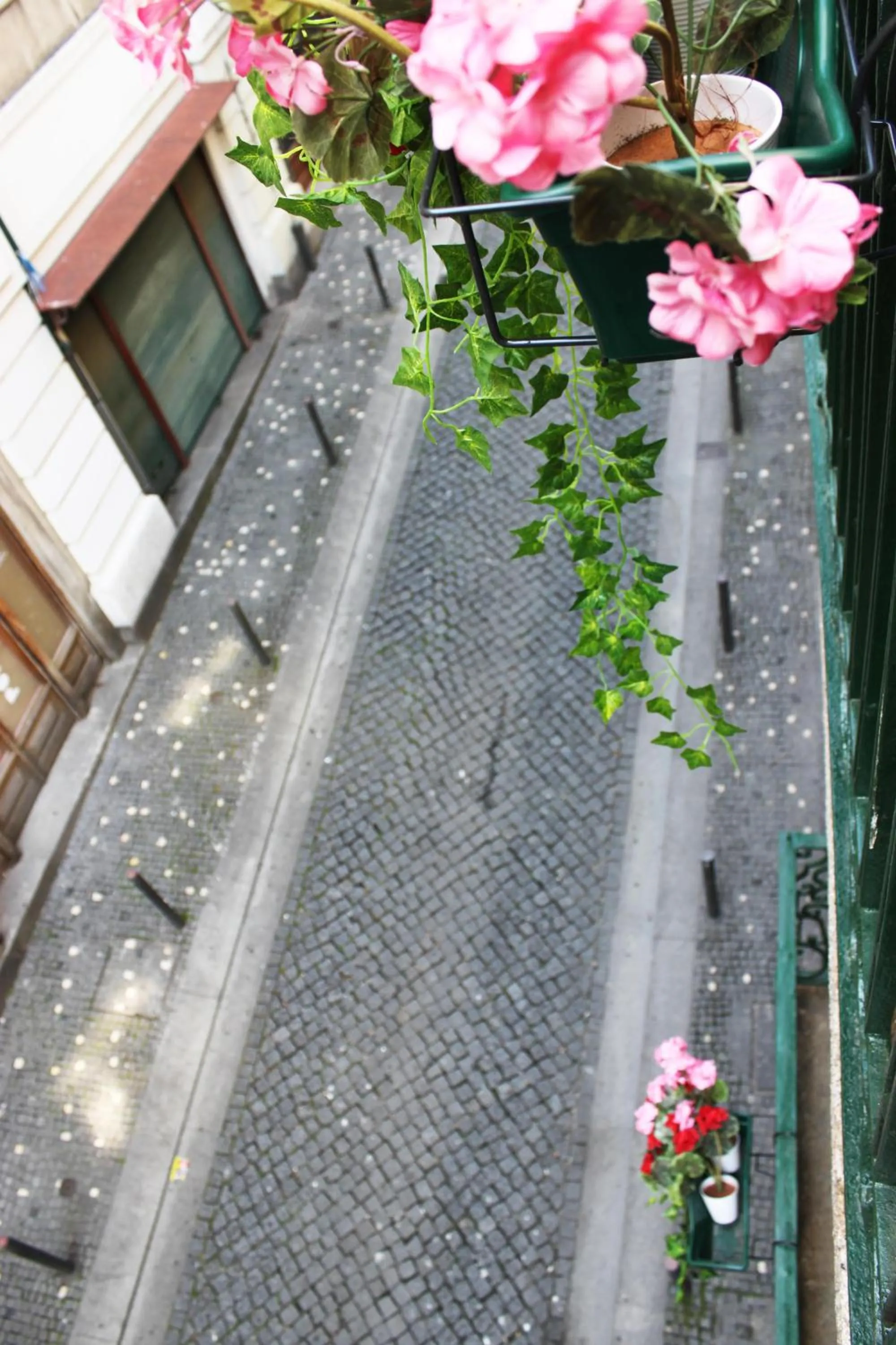 Street view in TMJ BeB