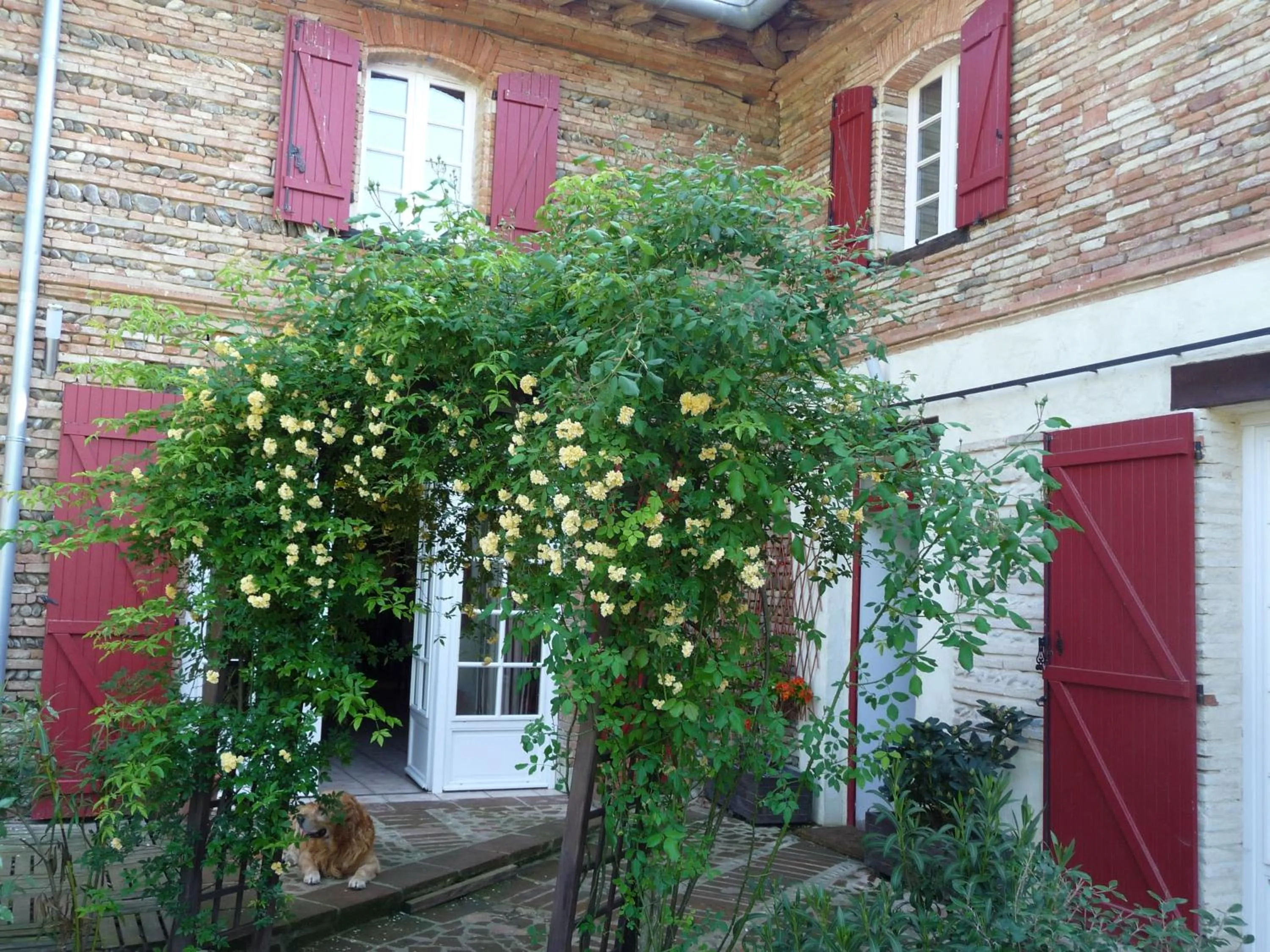 Facade/entrance in Logis Domaine de Peyrolade