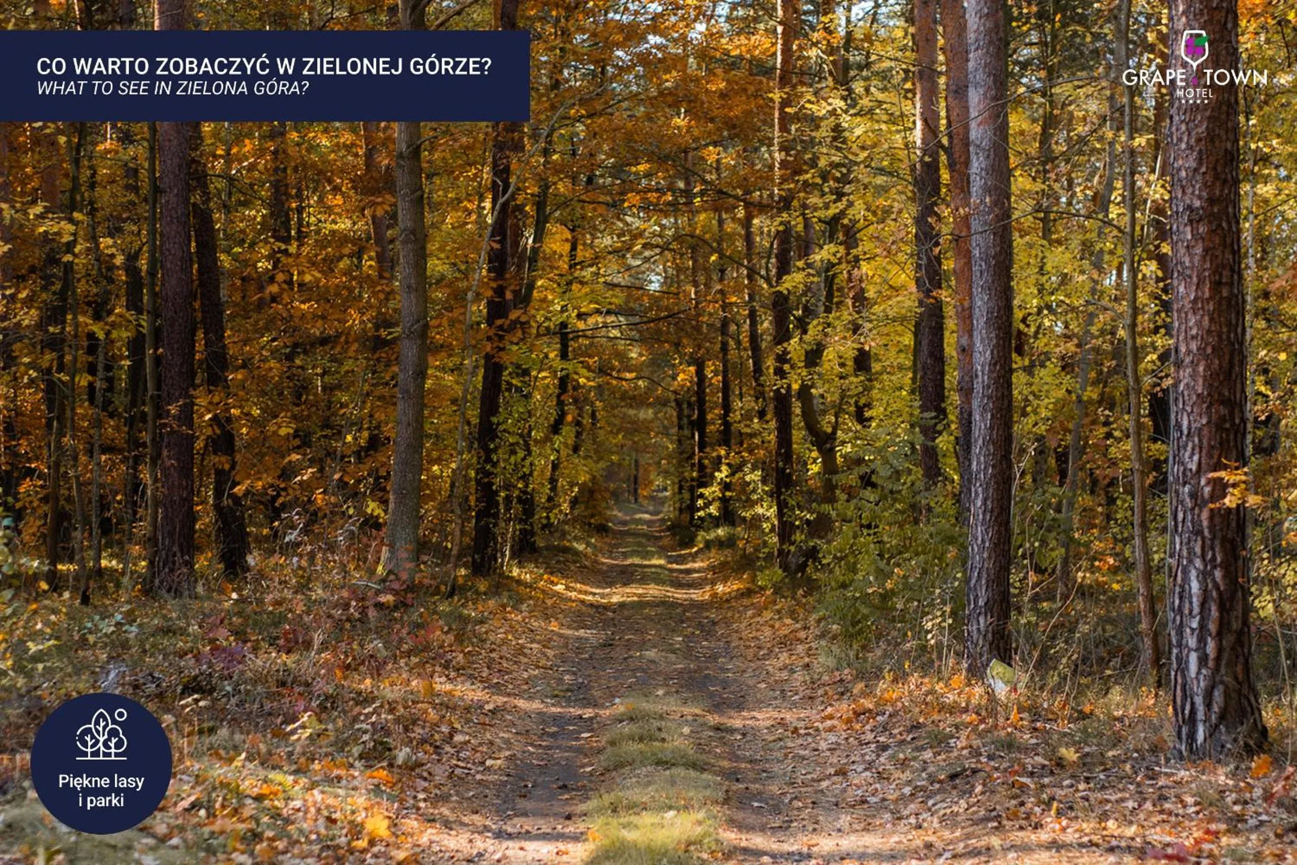 Nearby landmark in Grape Town Hotel - Park79