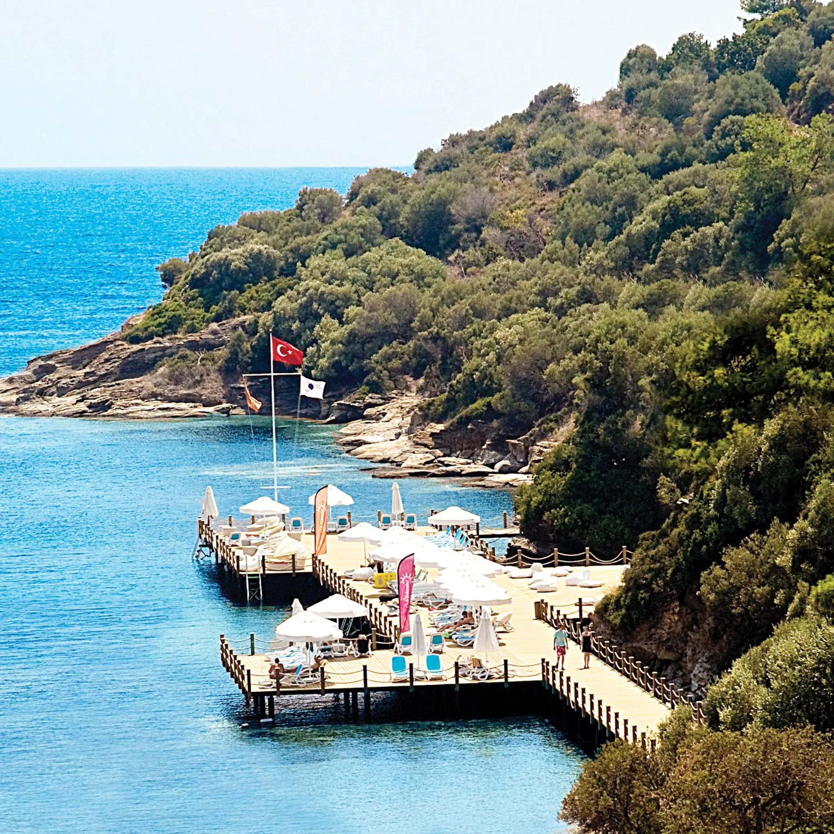 Natural landscape in Paloma Pasha