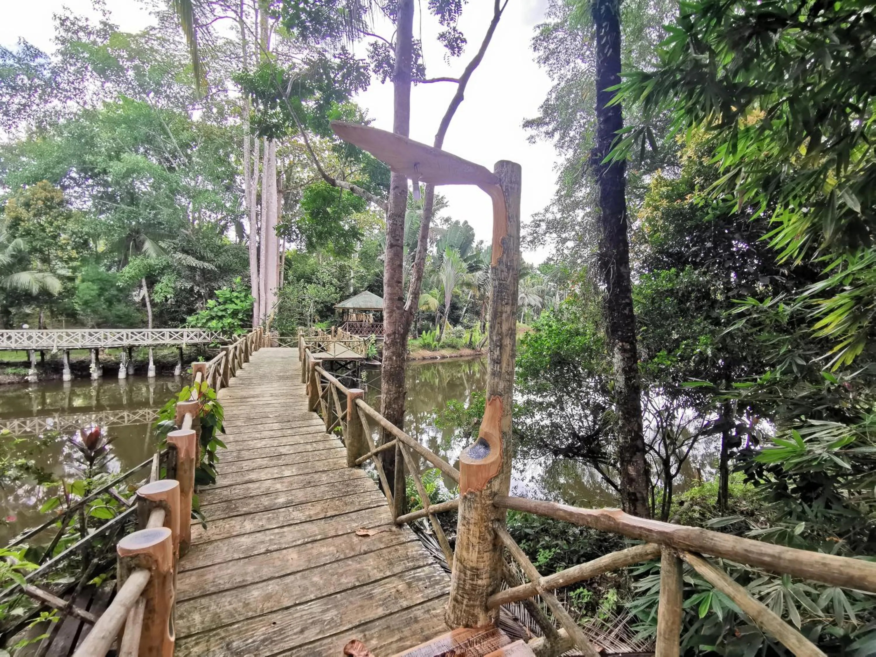 Sepilok Jungle Resort