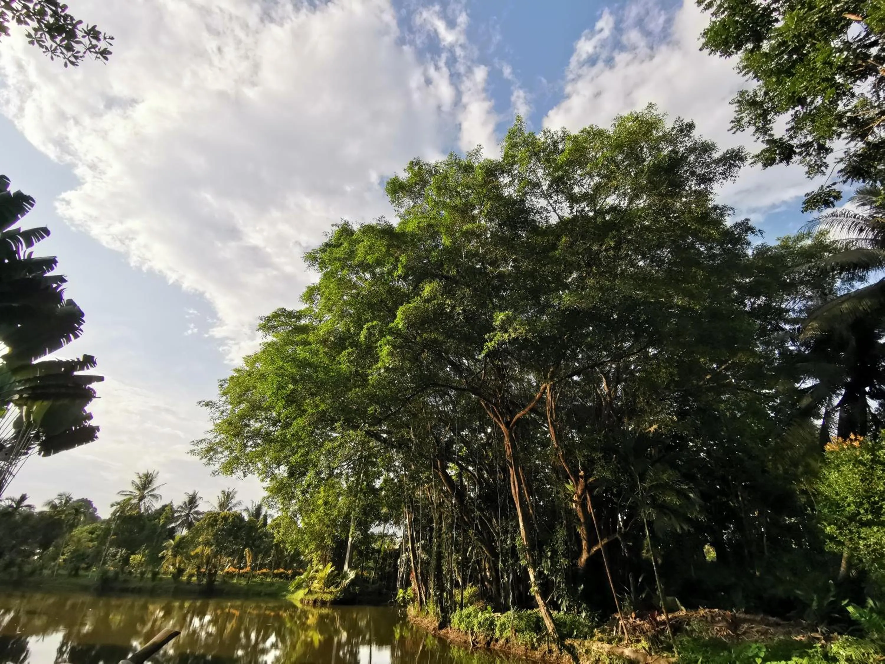 Sepilok Jungle Resort