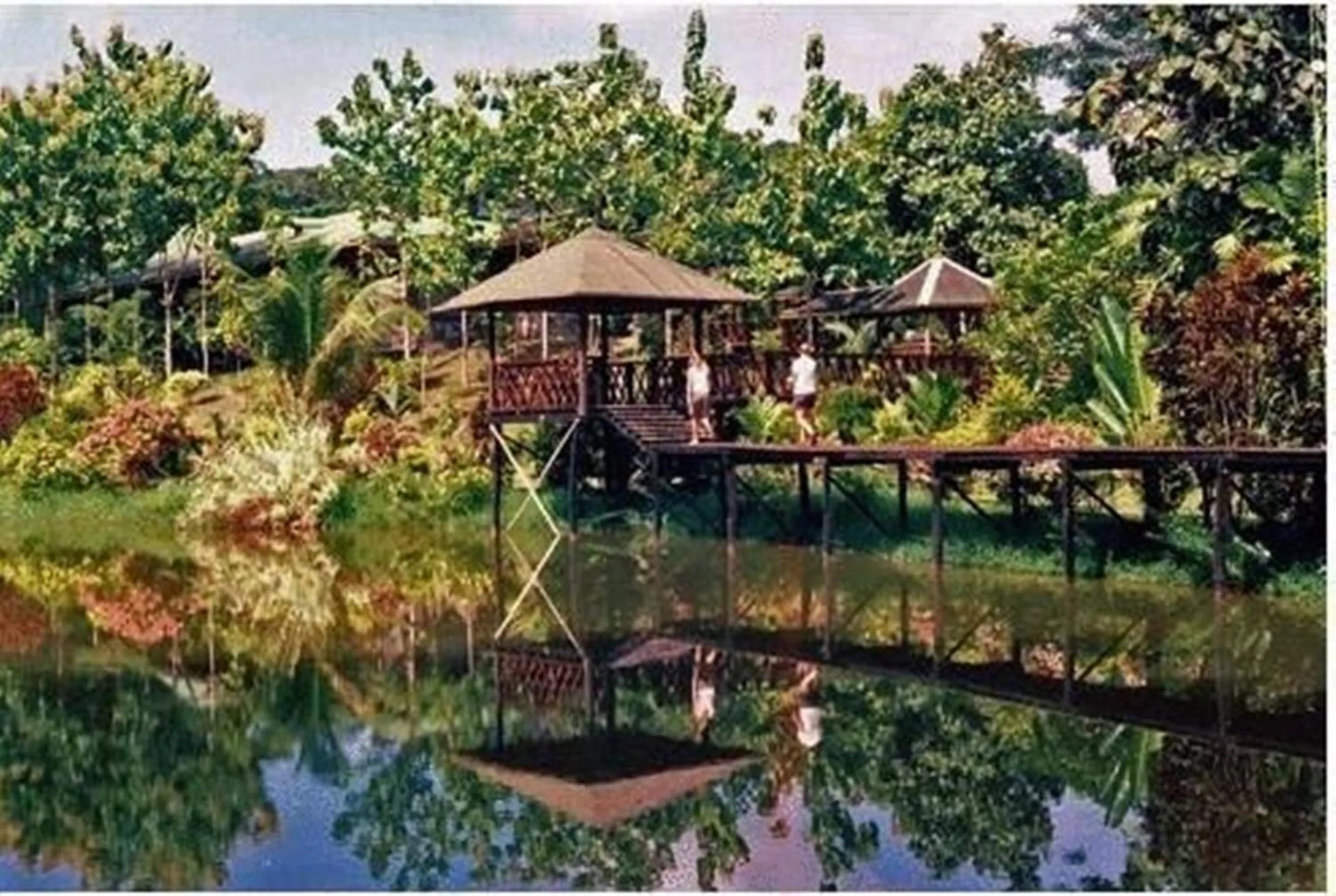 Day in Sepilok Jungle Resort