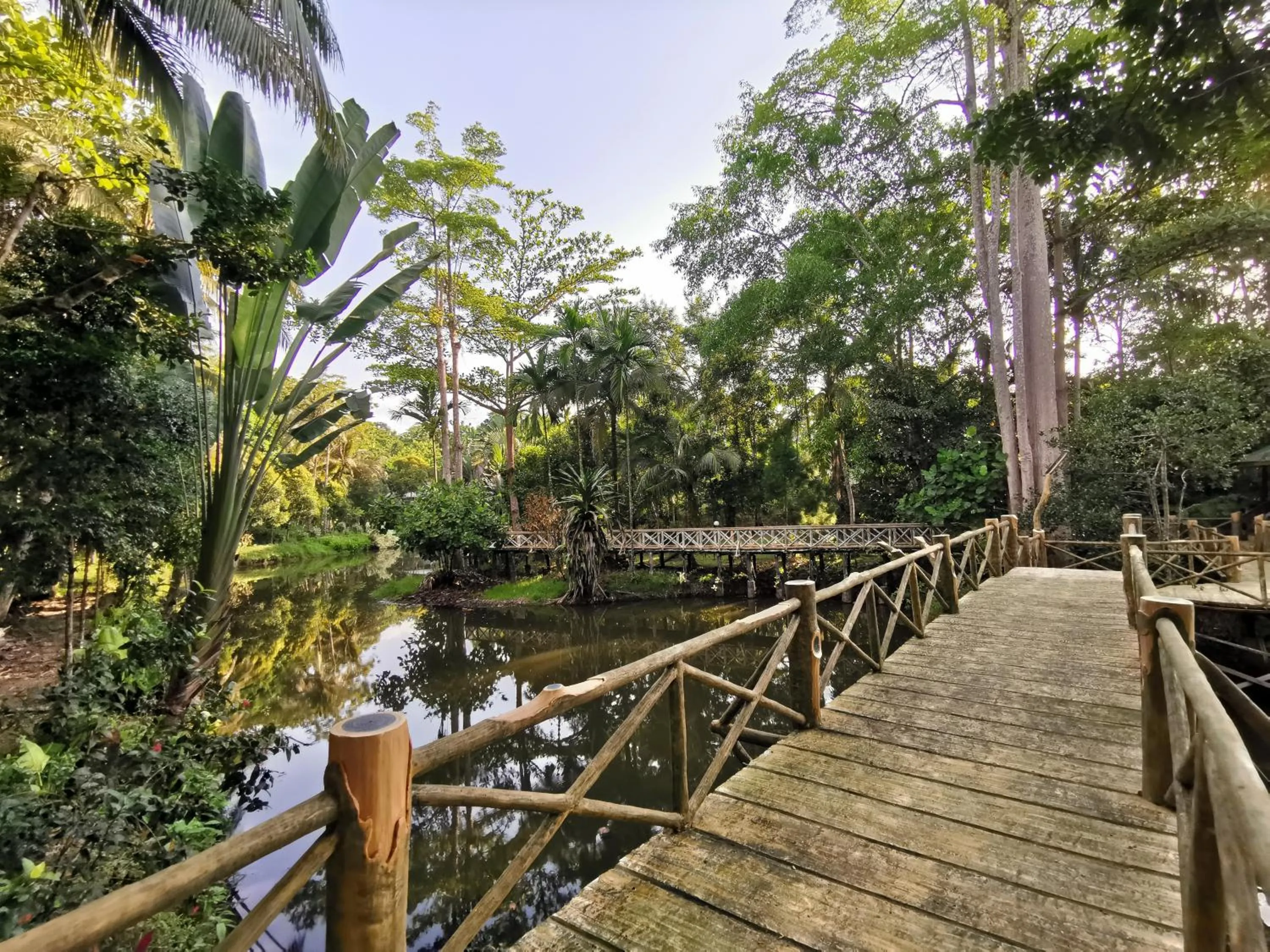 Sepilok Jungle Resort