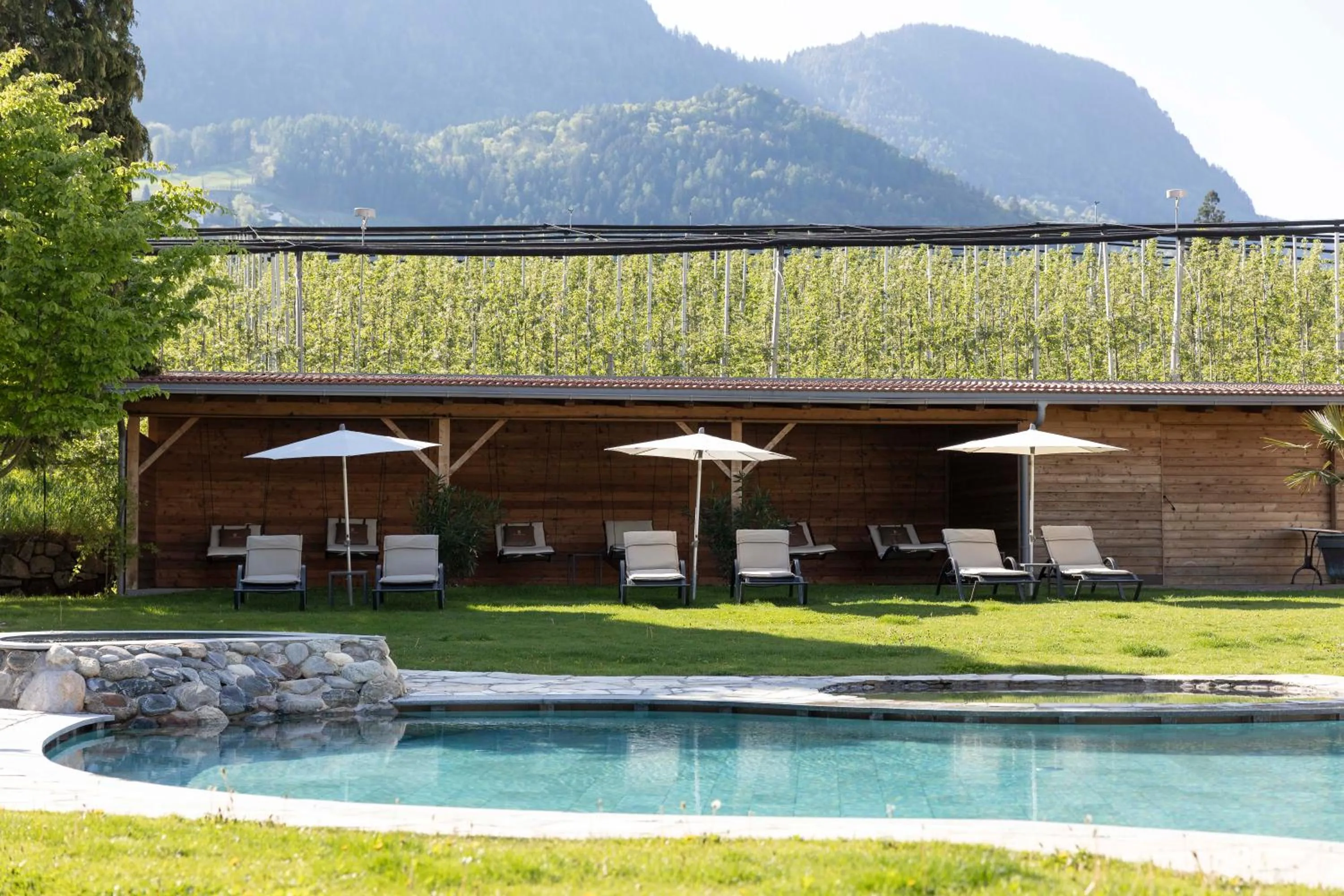 Swimming pool in Hotel Burggräflerhof