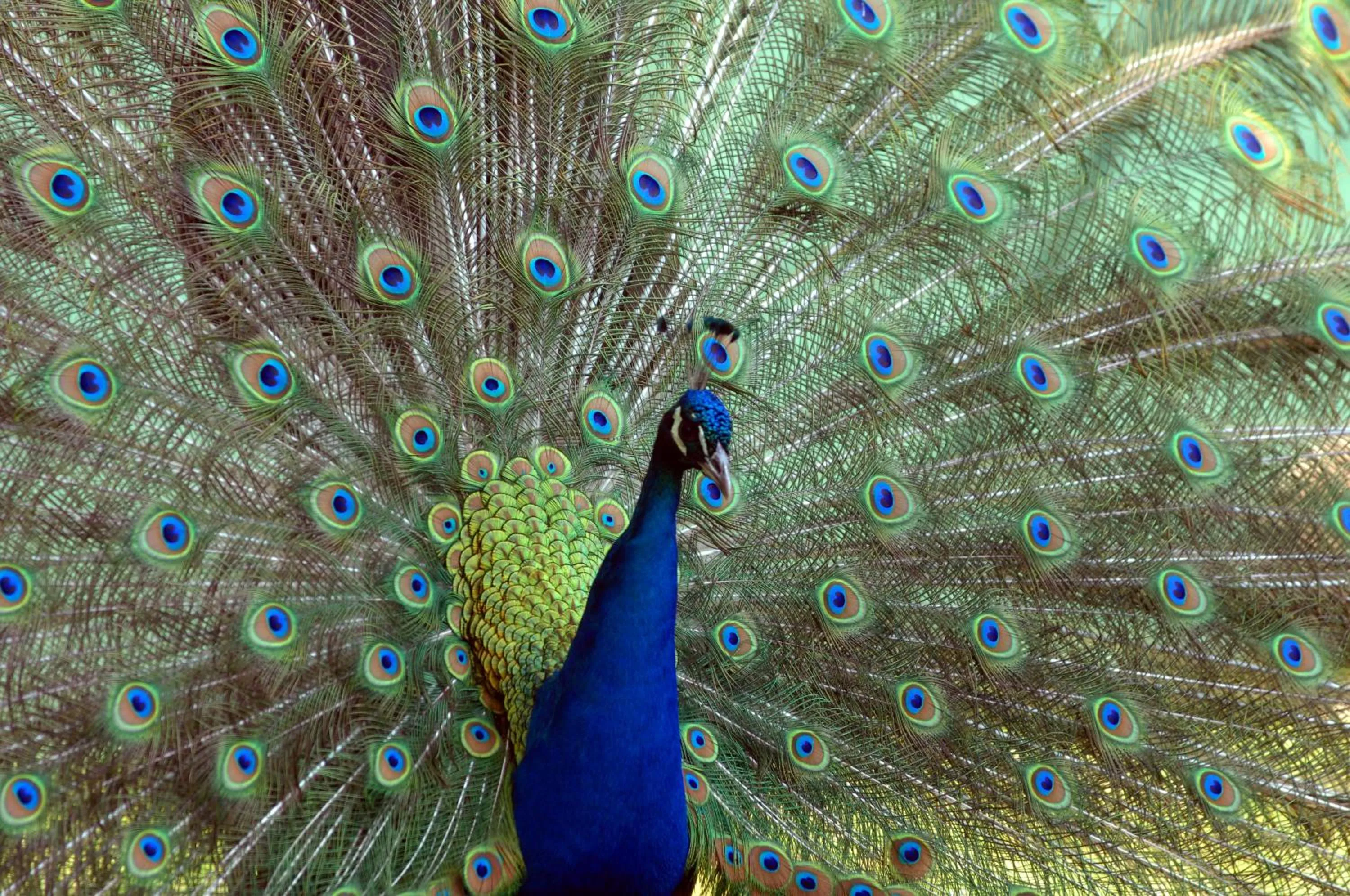 Neighbourhood in Ensana Thermia Palace