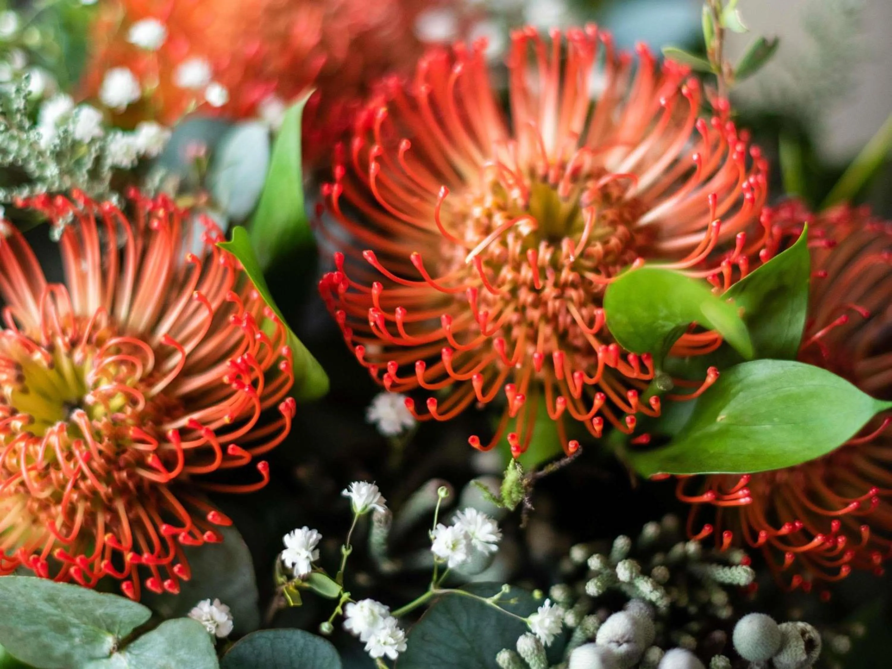 Other in Cape Grace, A Fairmont Managed Hotel