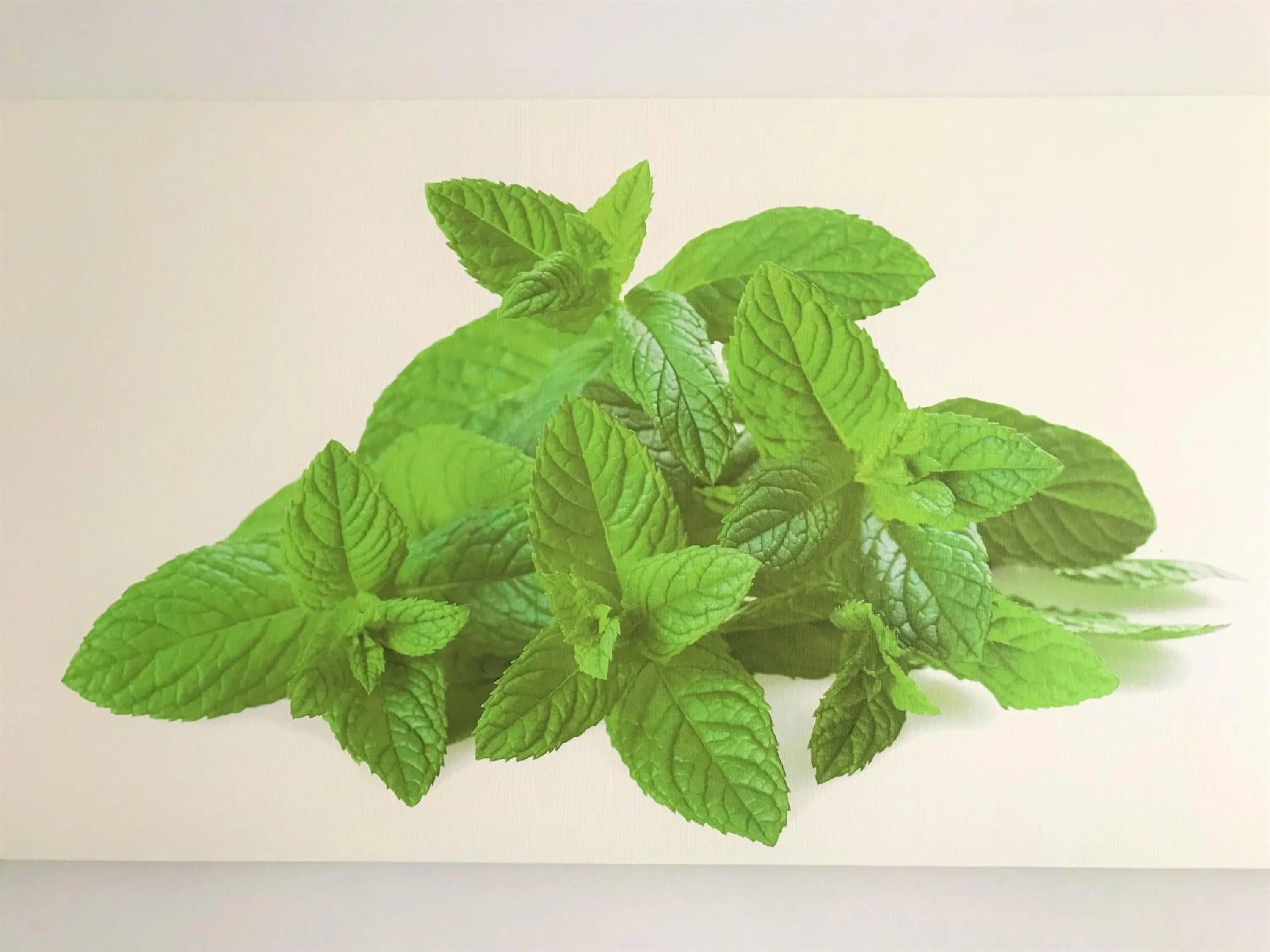 Decorative detail in Innsud