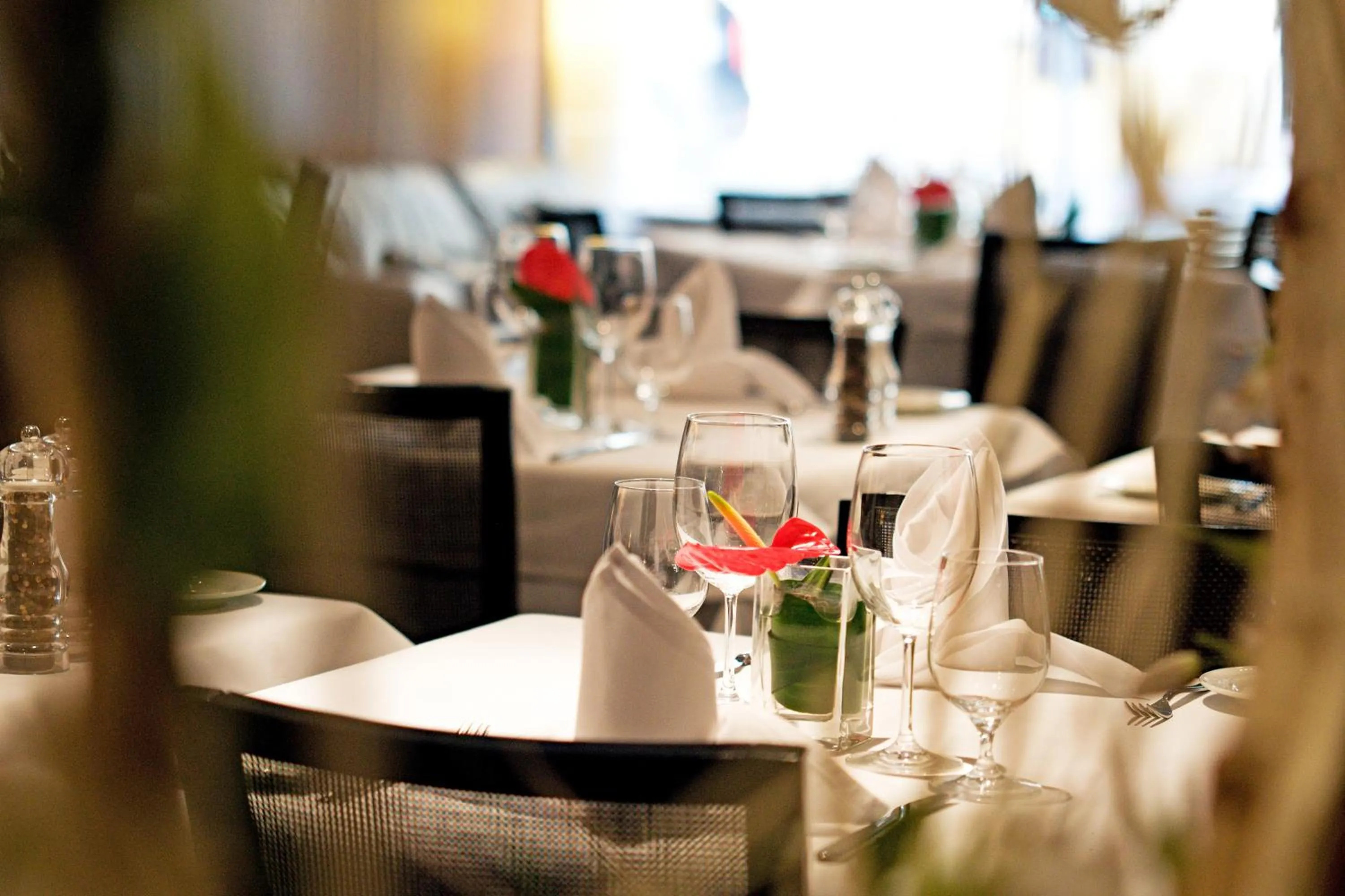 Restaurant/places to eat in Hotel Avance