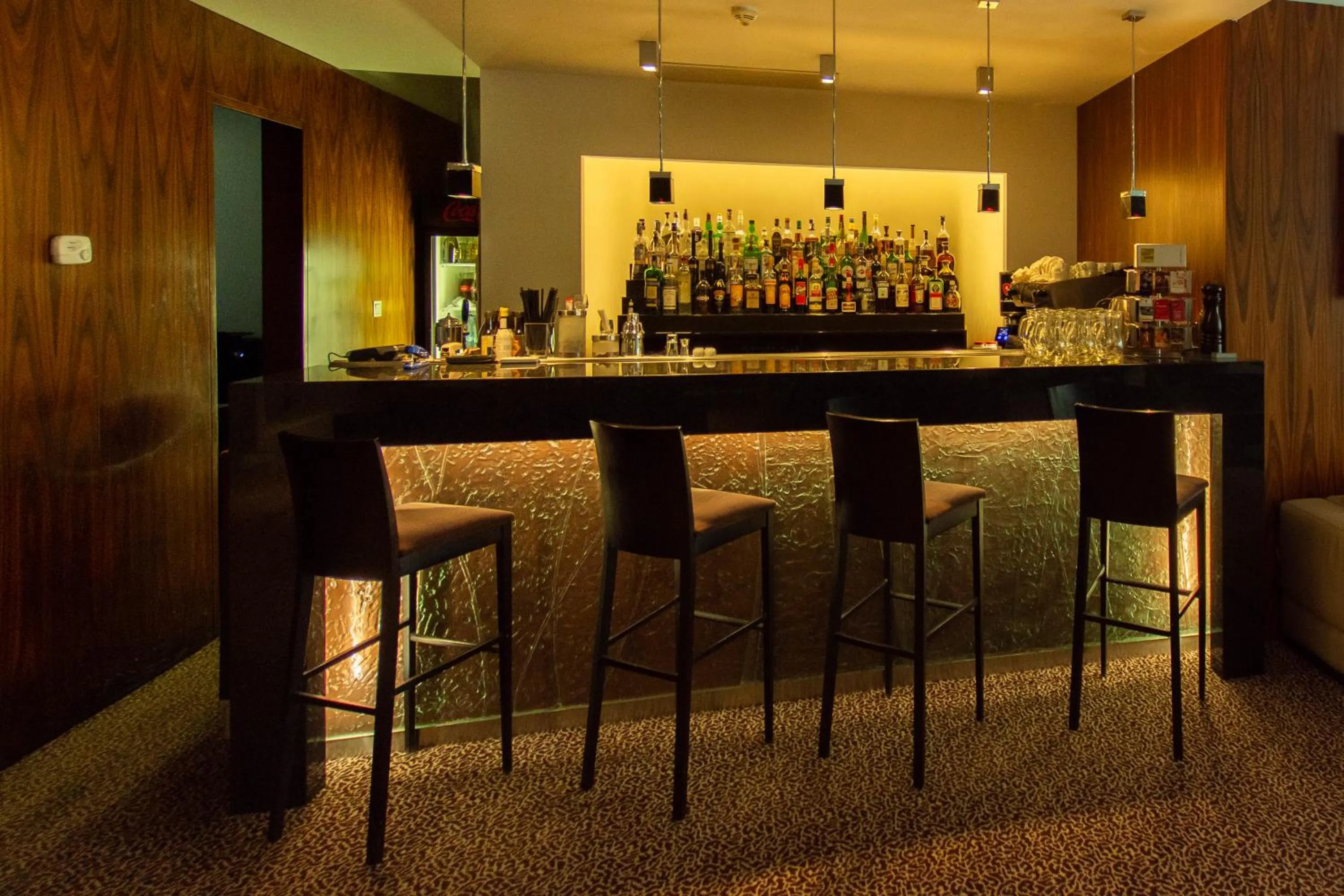 Lounge or bar in Hotel Avance
