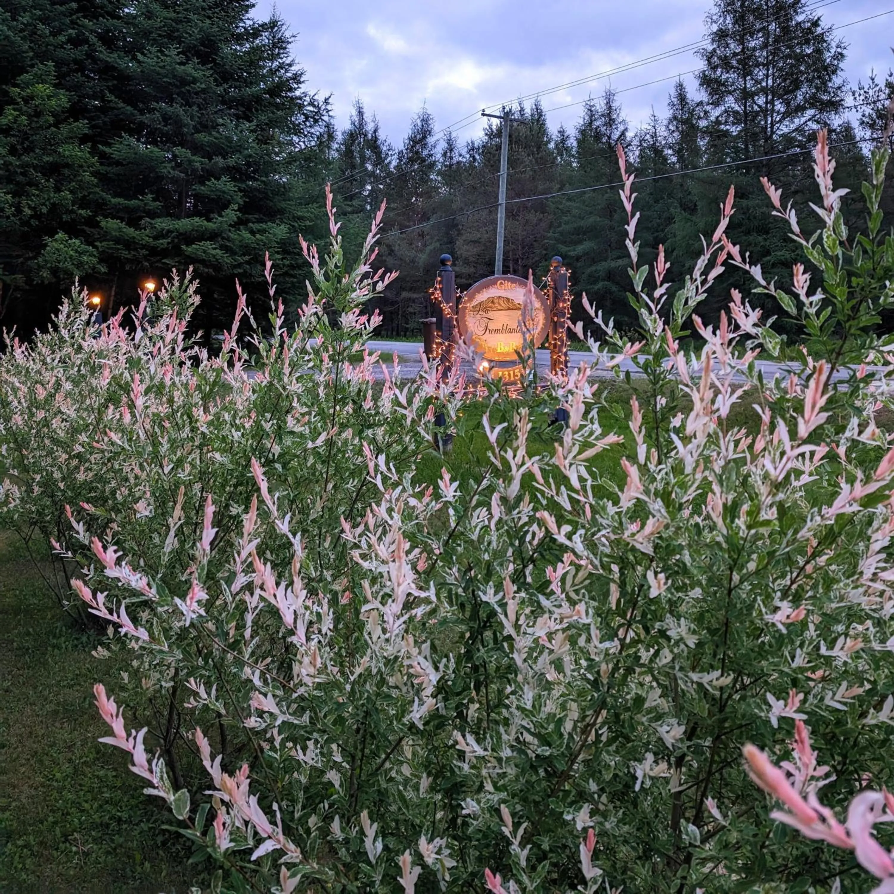 Natural landscape in La Tremblante