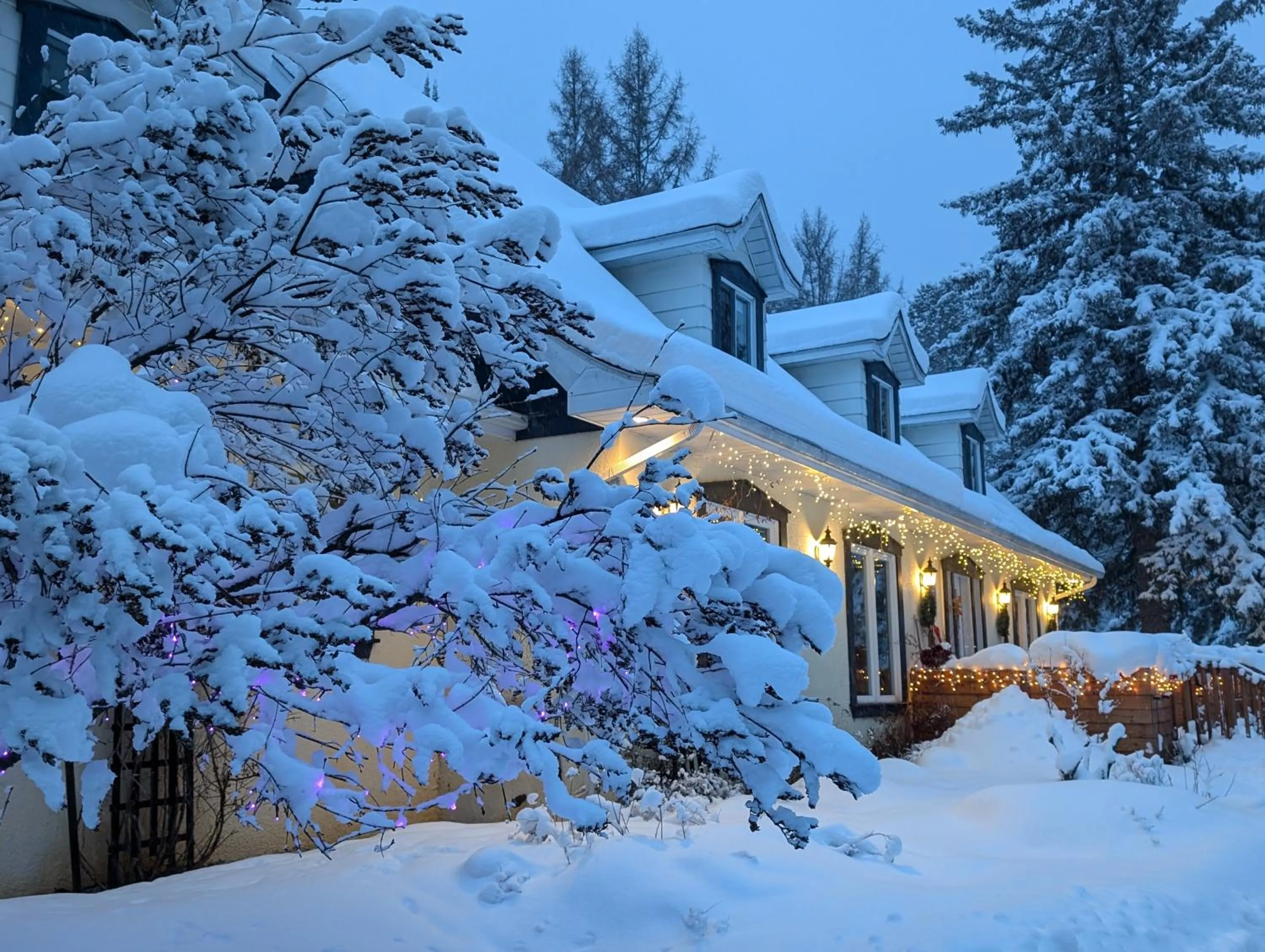 Property building in La Tremblante