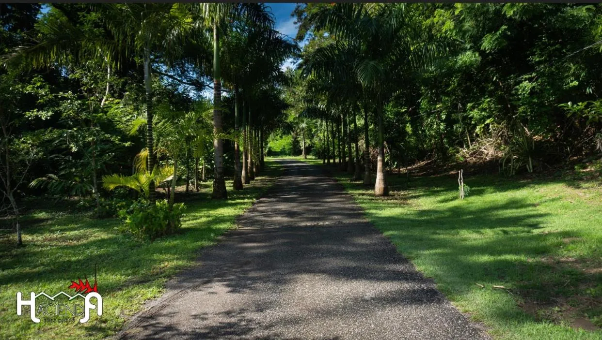 Lobby or reception in Hacienda Tres Casitas