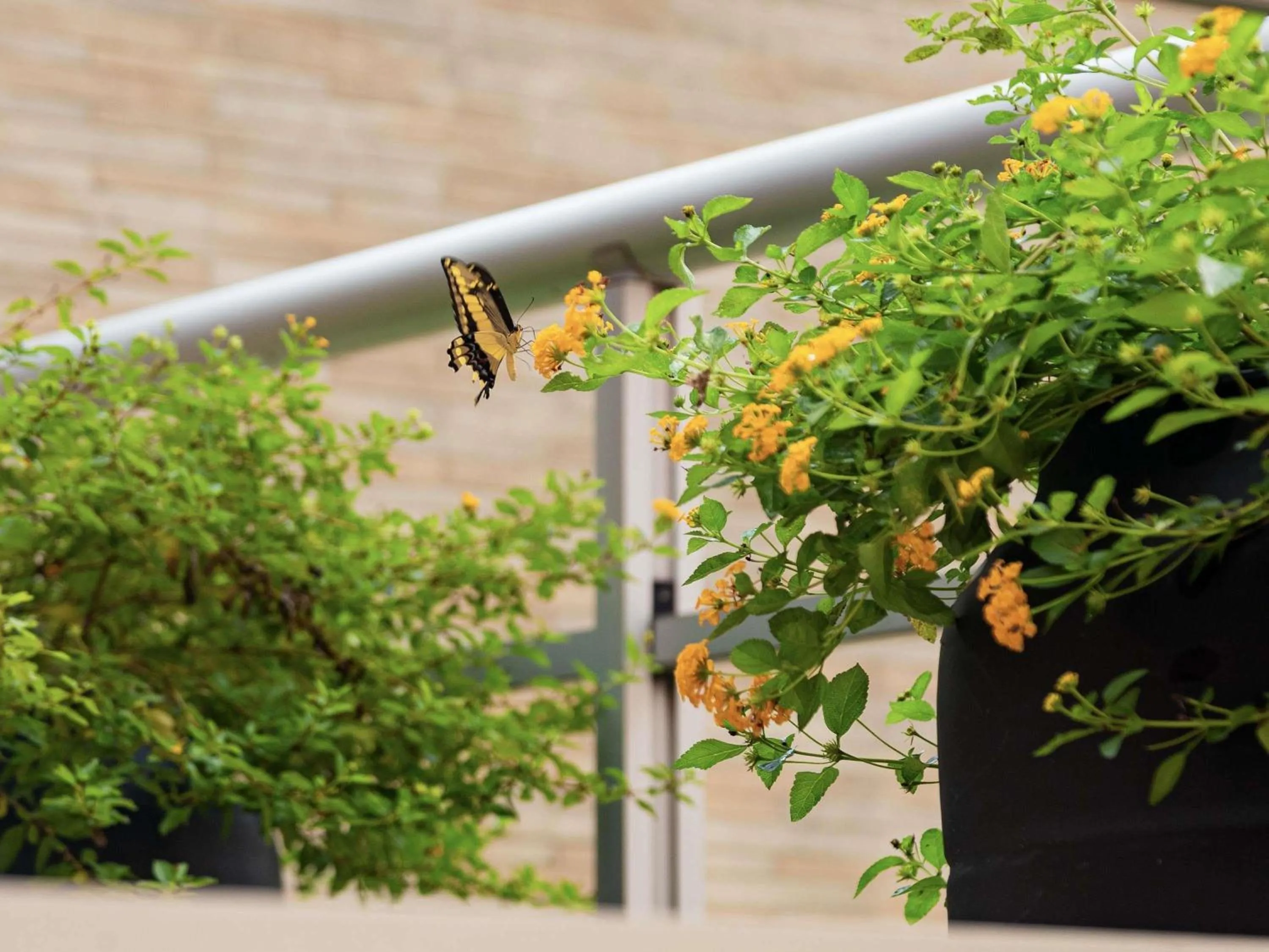 Property building in ibis Styles Belem Nazare