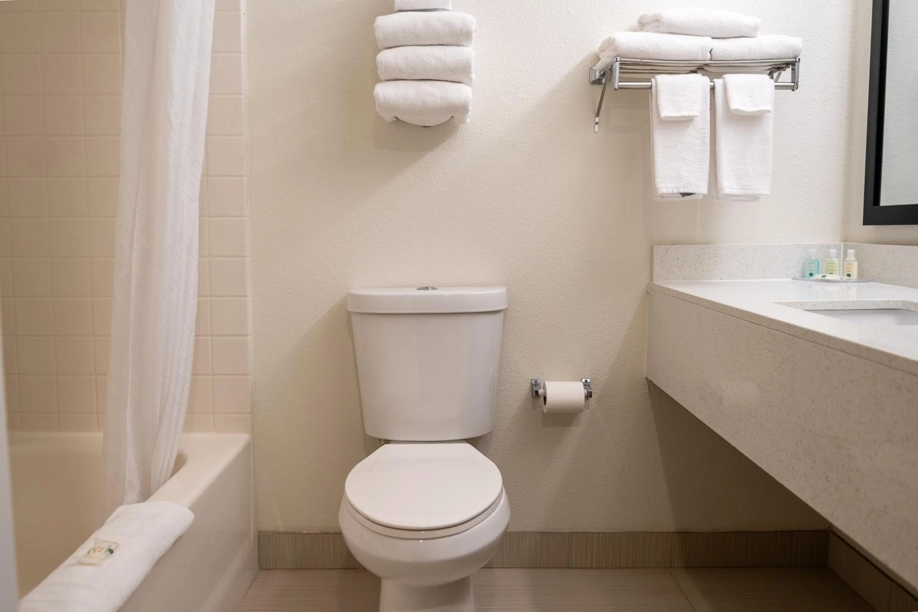 Toilet in Quality Inn & Suites Fresno Northwest