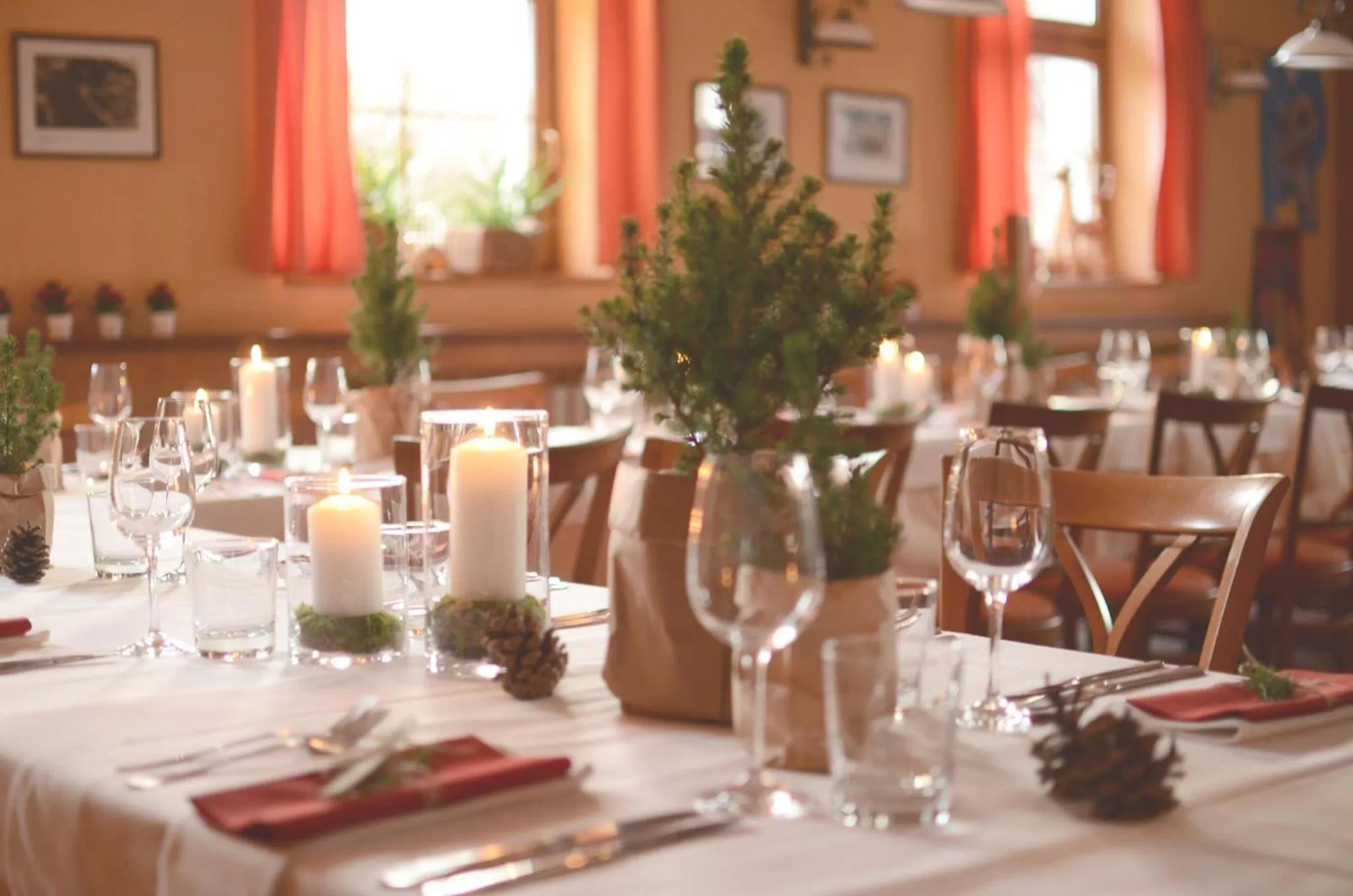 Banquet/Function facilities in Penzion Tematin