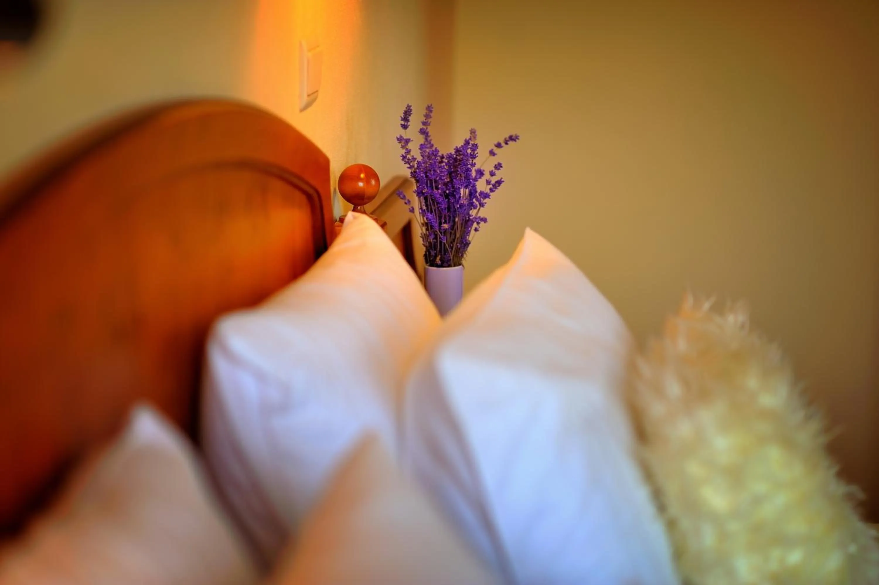 Bed in Penzion Tematin