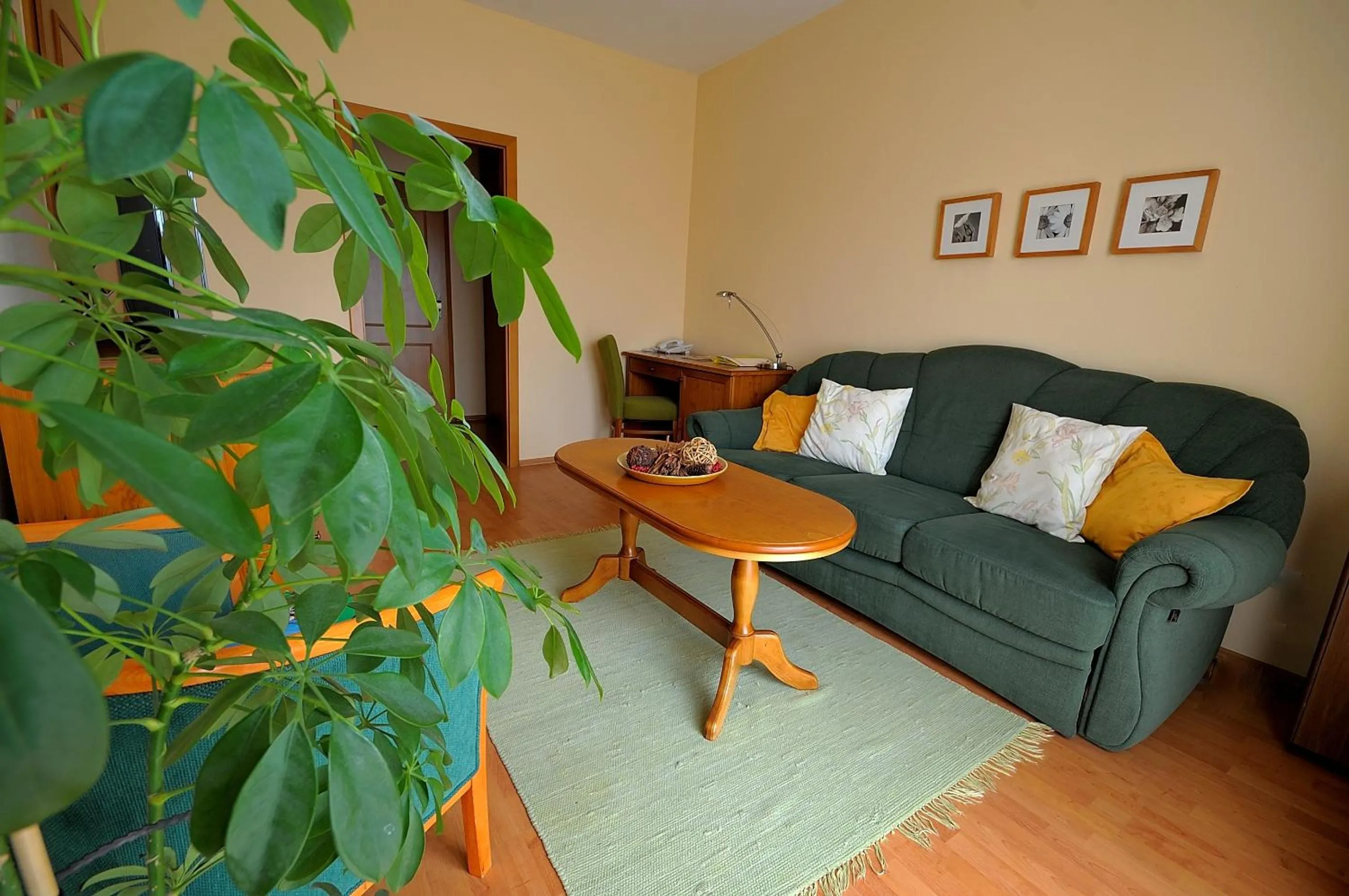 Living room in Penzion Tematin