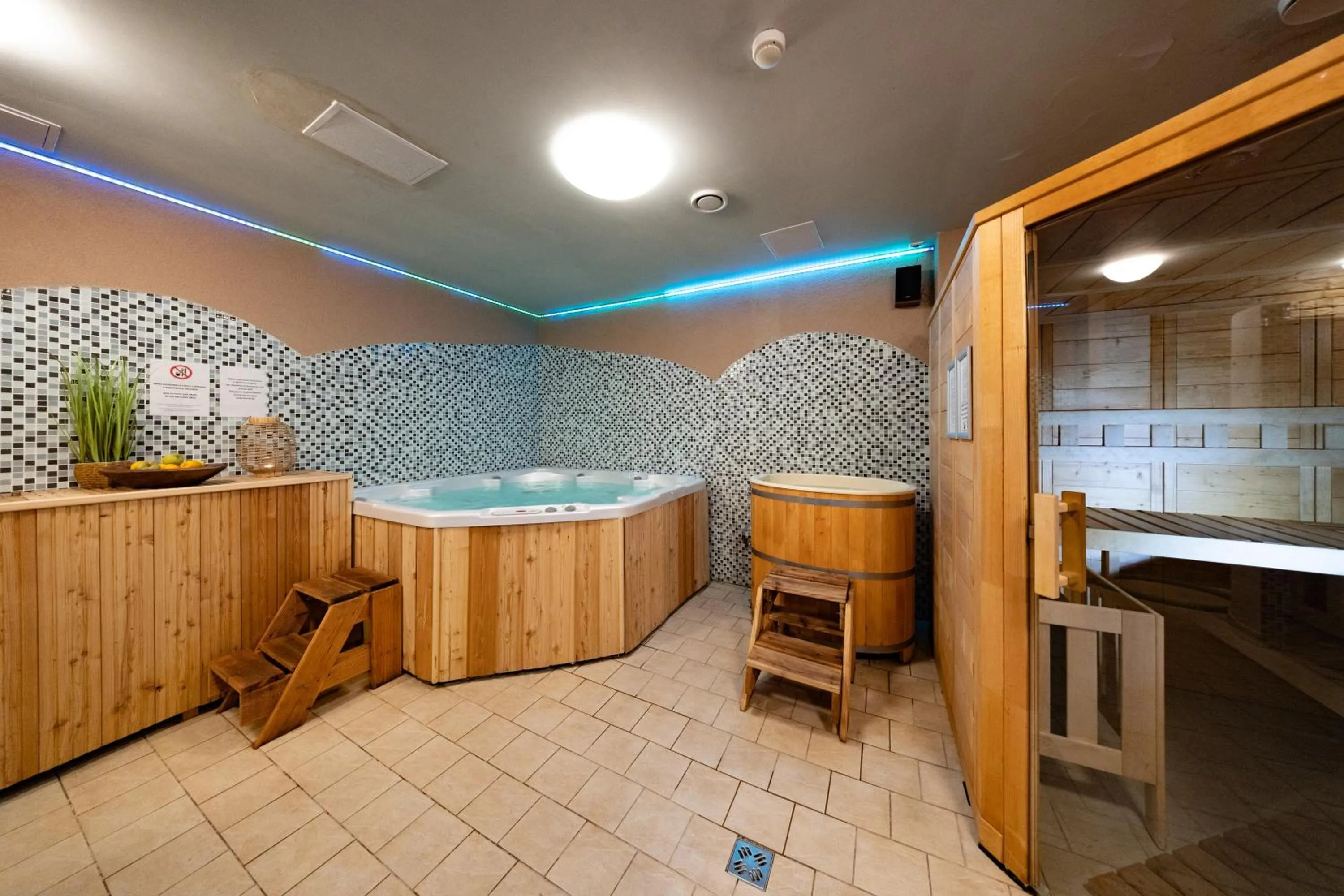 Spa and wellness centre/facilities in Hotel CROCUS
