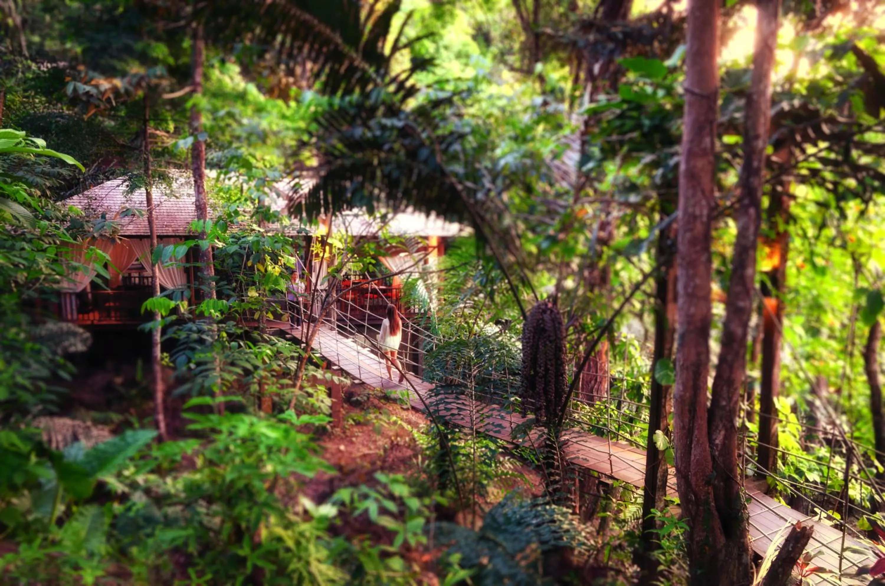 Natural landscape in Bunga Raya Island Resort & Spa