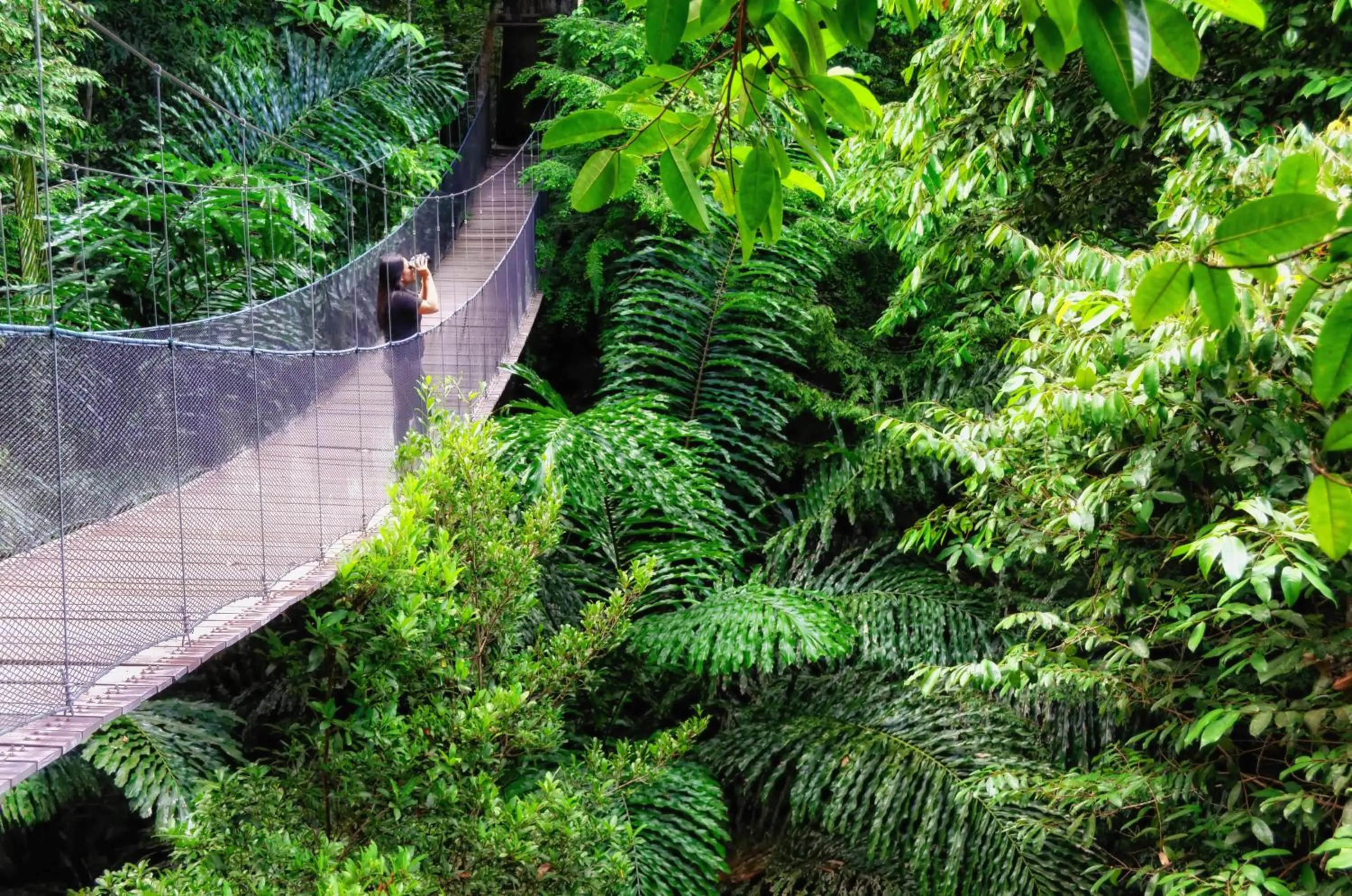 Hiking in Bunga Raya Island Resort & Spa