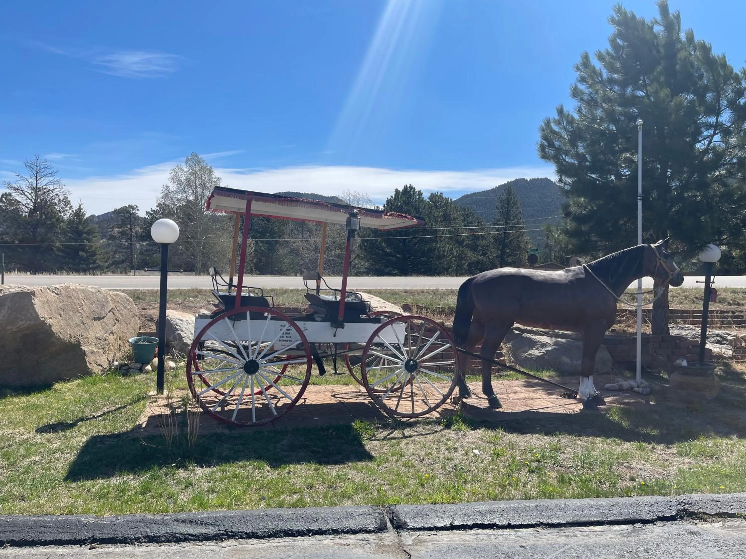 Garden in Saddle & Surrey Motel