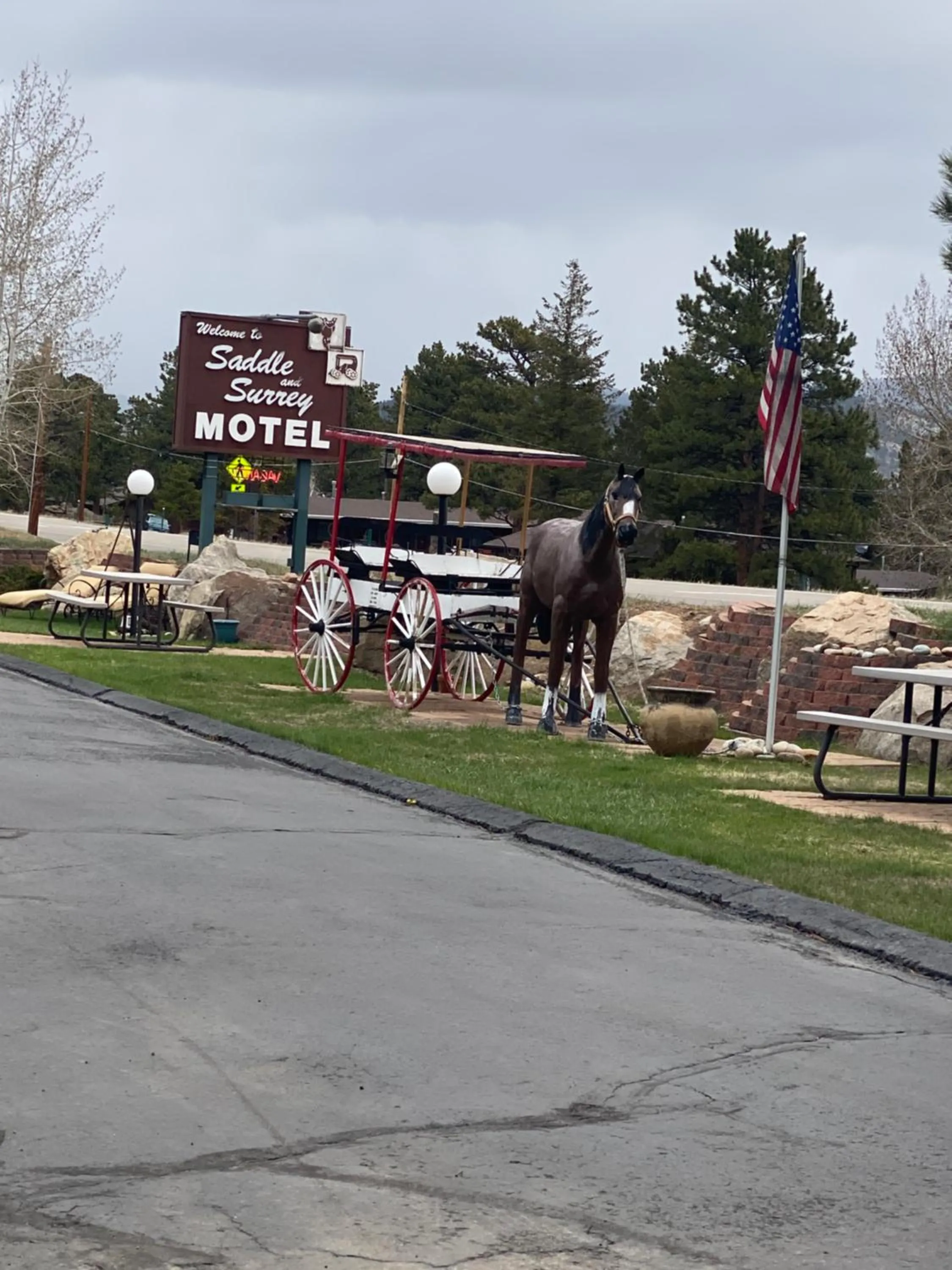 Property logo or sign in Saddle & Surrey Motel