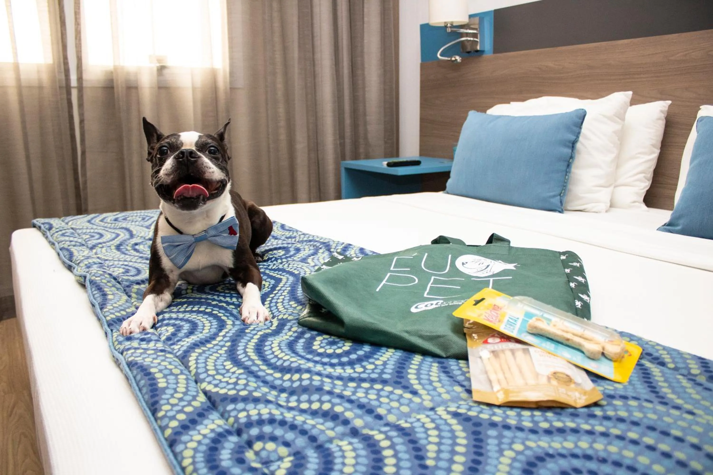 Pets, Bed in Hilton Garden Inn Santo Andre