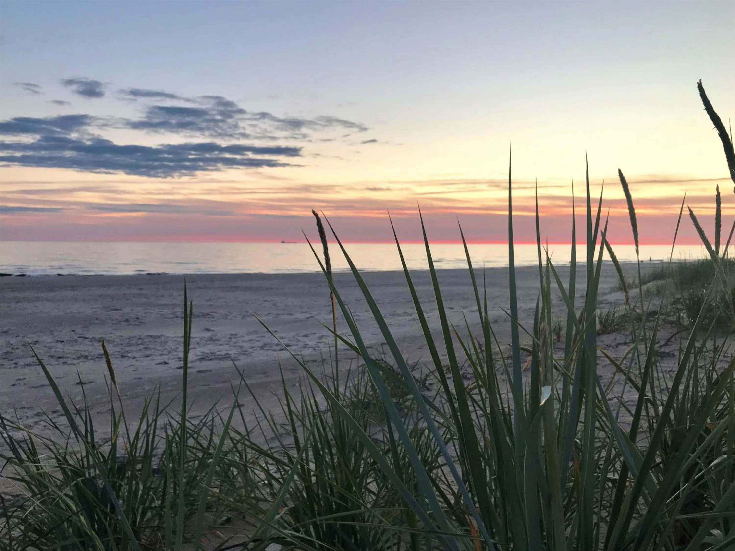 Summer in Auksinės Kopos