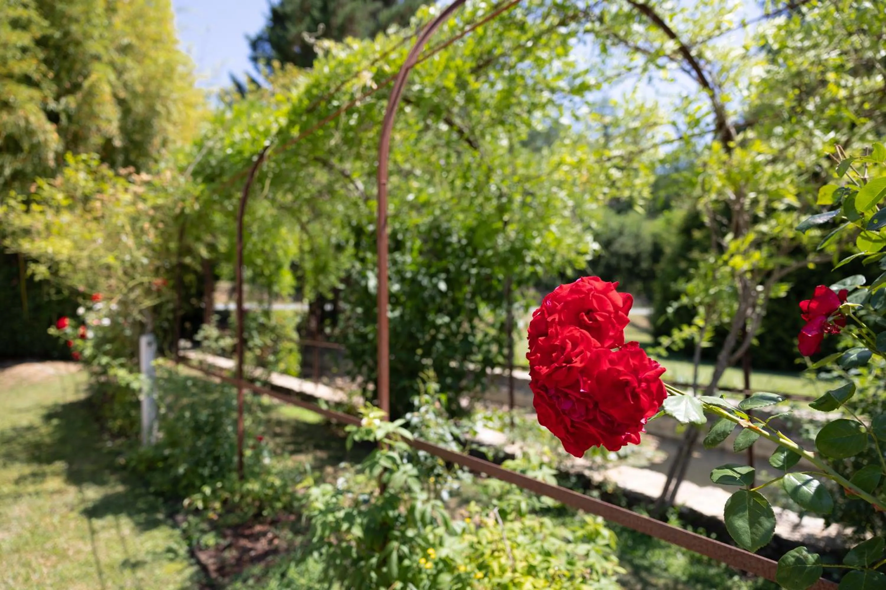 Natural landscape in Le Moulin de Mitou