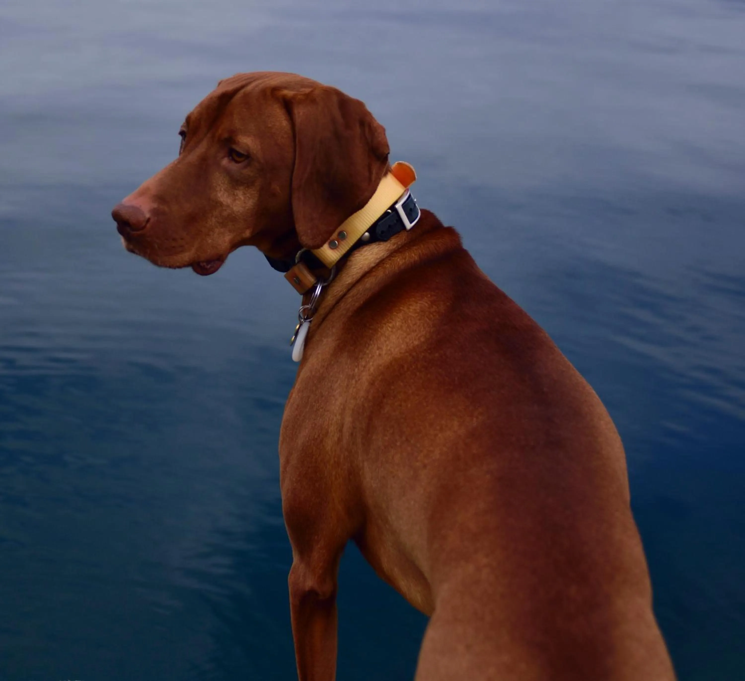 On site in The Rockwell-Harrison Guest Lodge