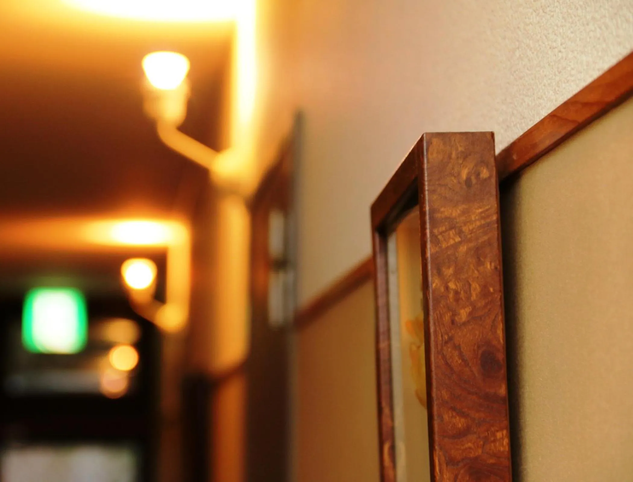 Decorative detail in Oze Shinkousou