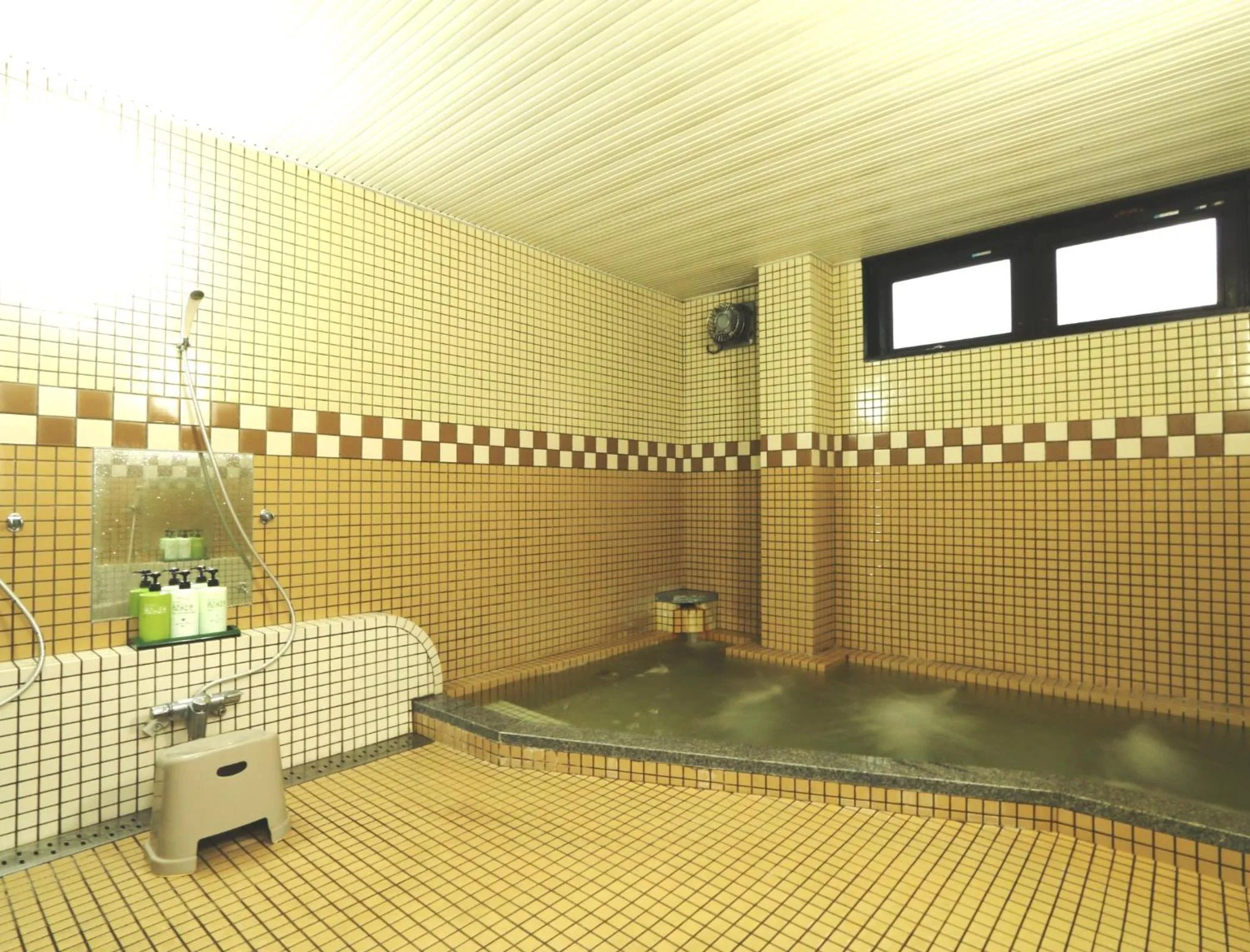 Public Bath in Oze Shinkousou