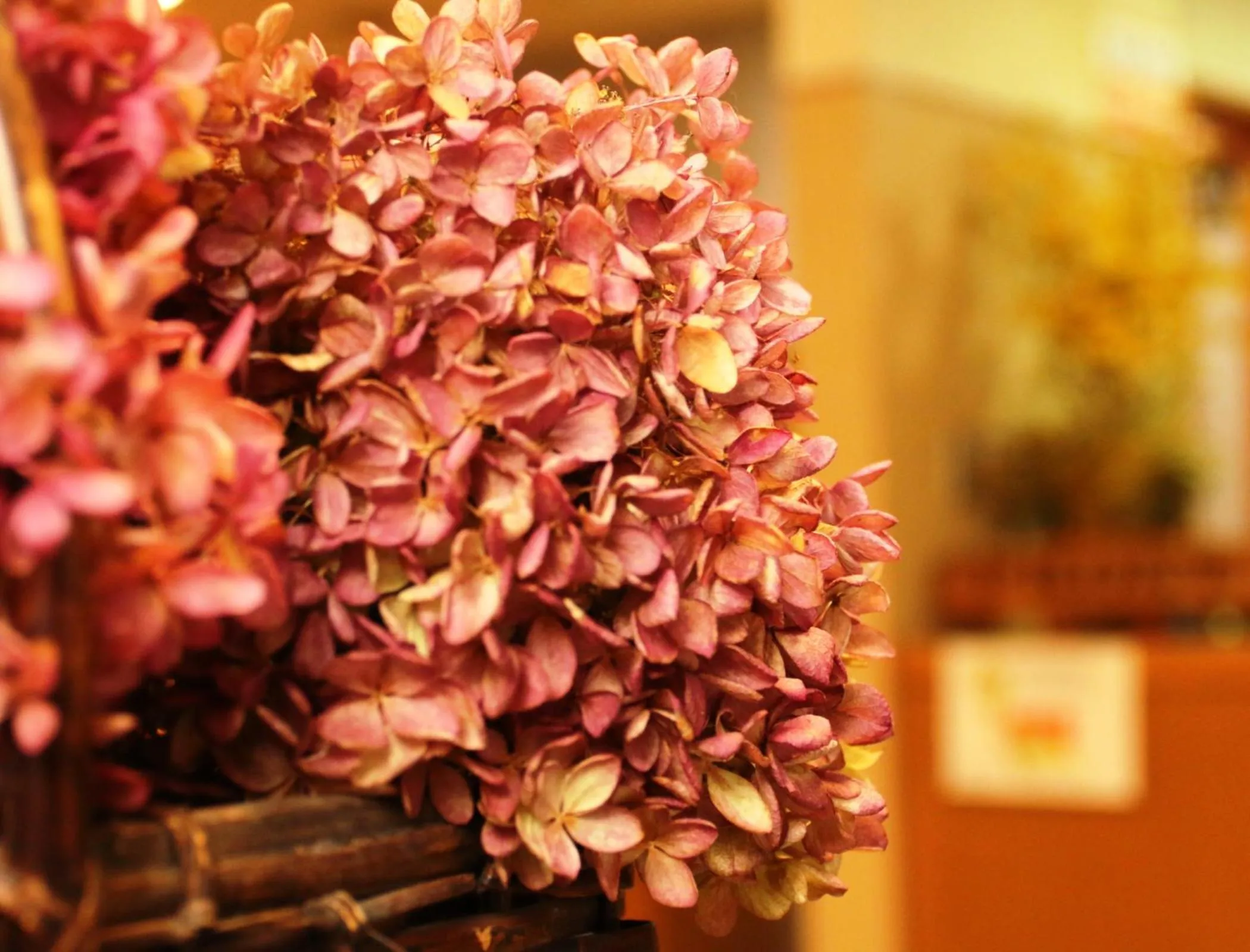 Decorative detail in Oze Shinkousou