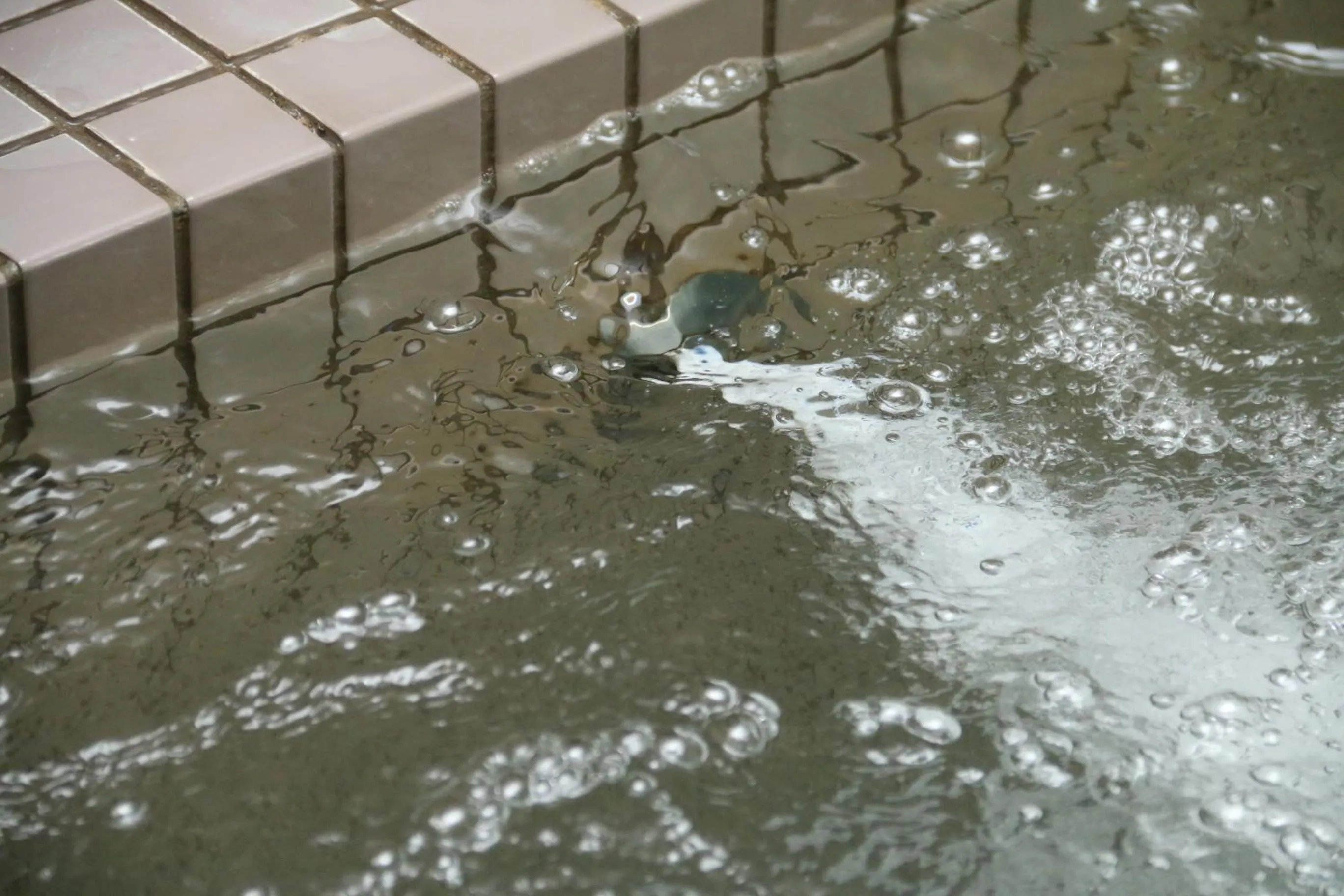 Public Bath in Oze Shinkousou