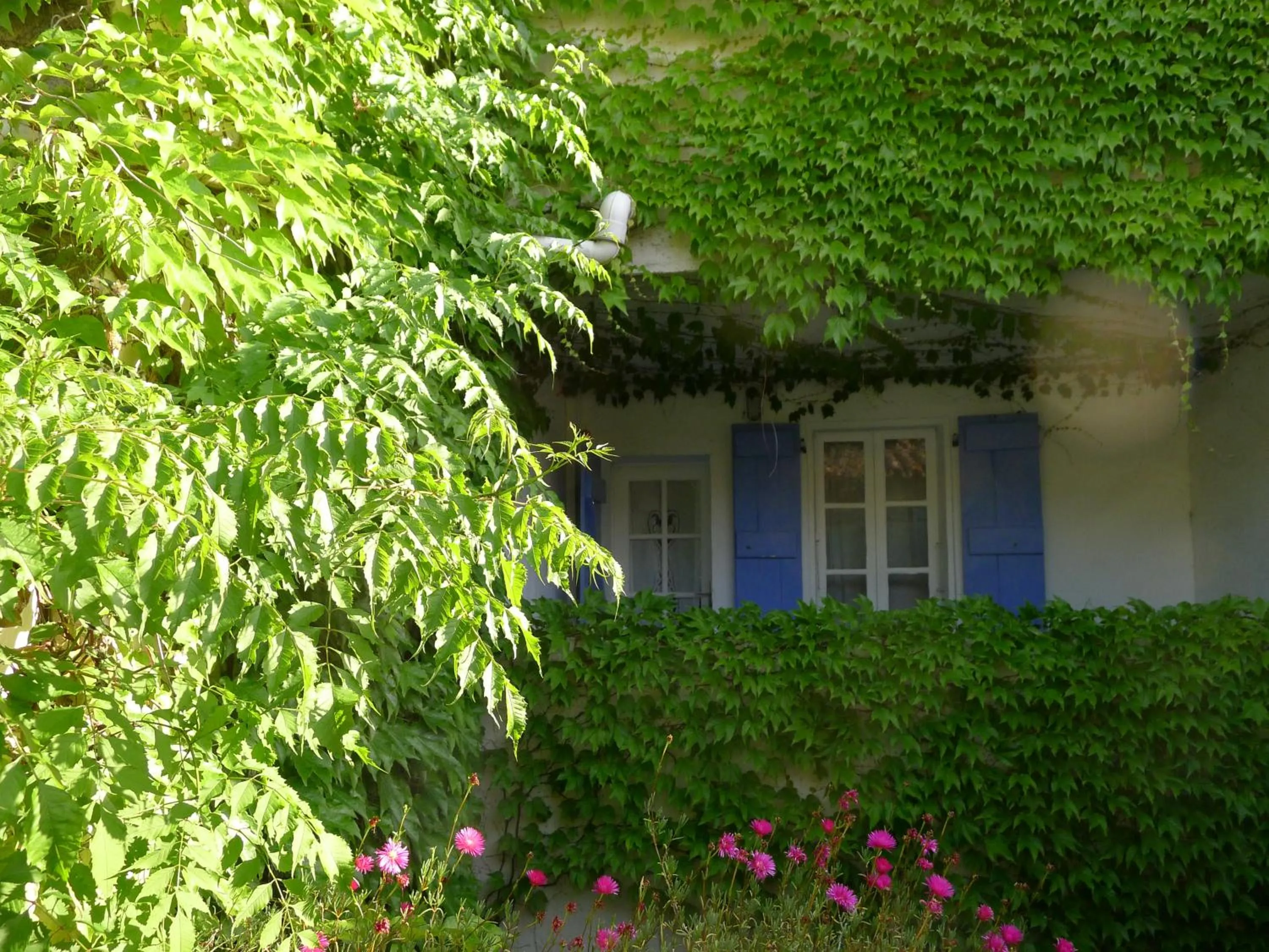 Balcony/Terrace in Coq Hotel