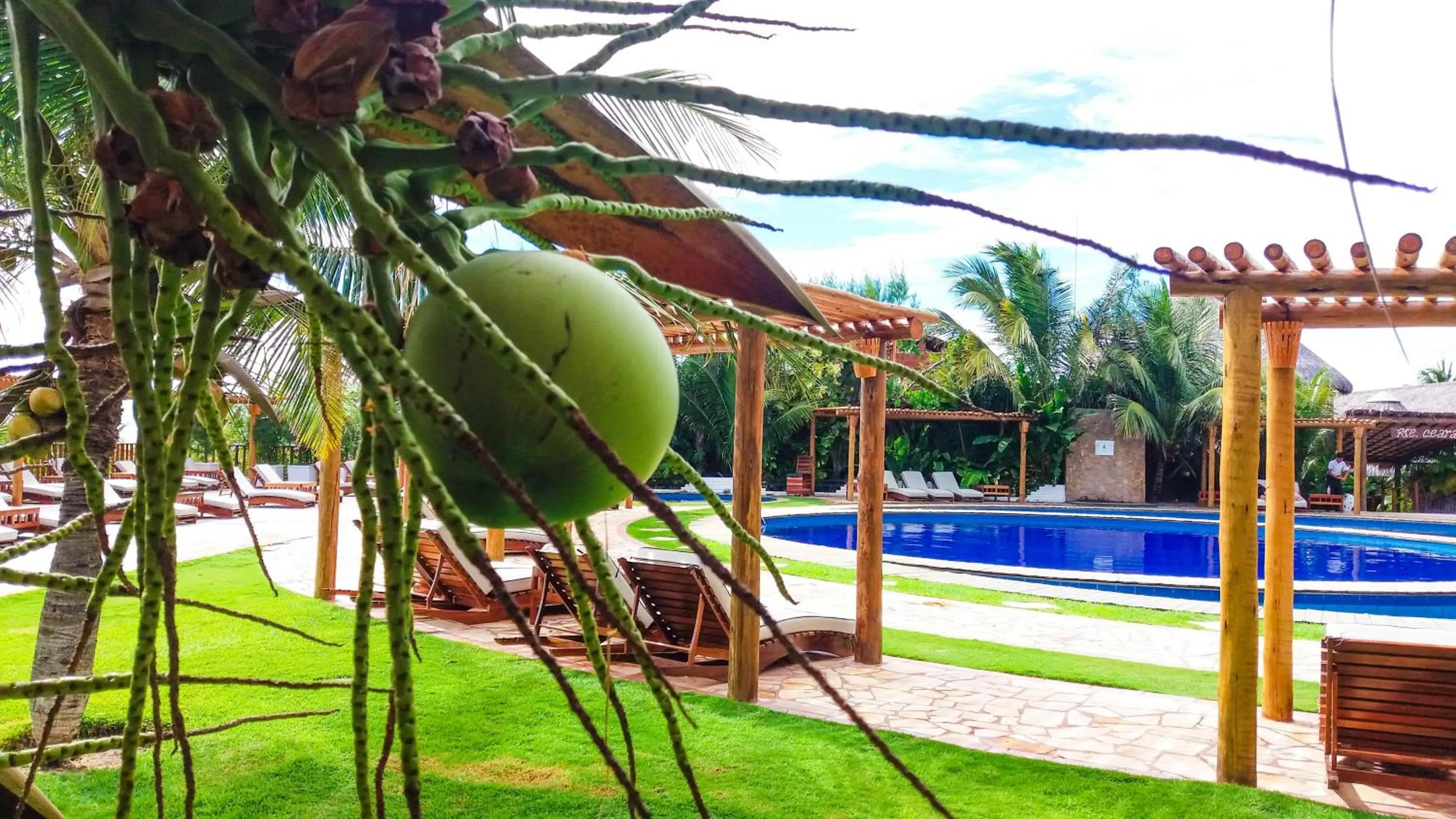 Pool view in Long Beach