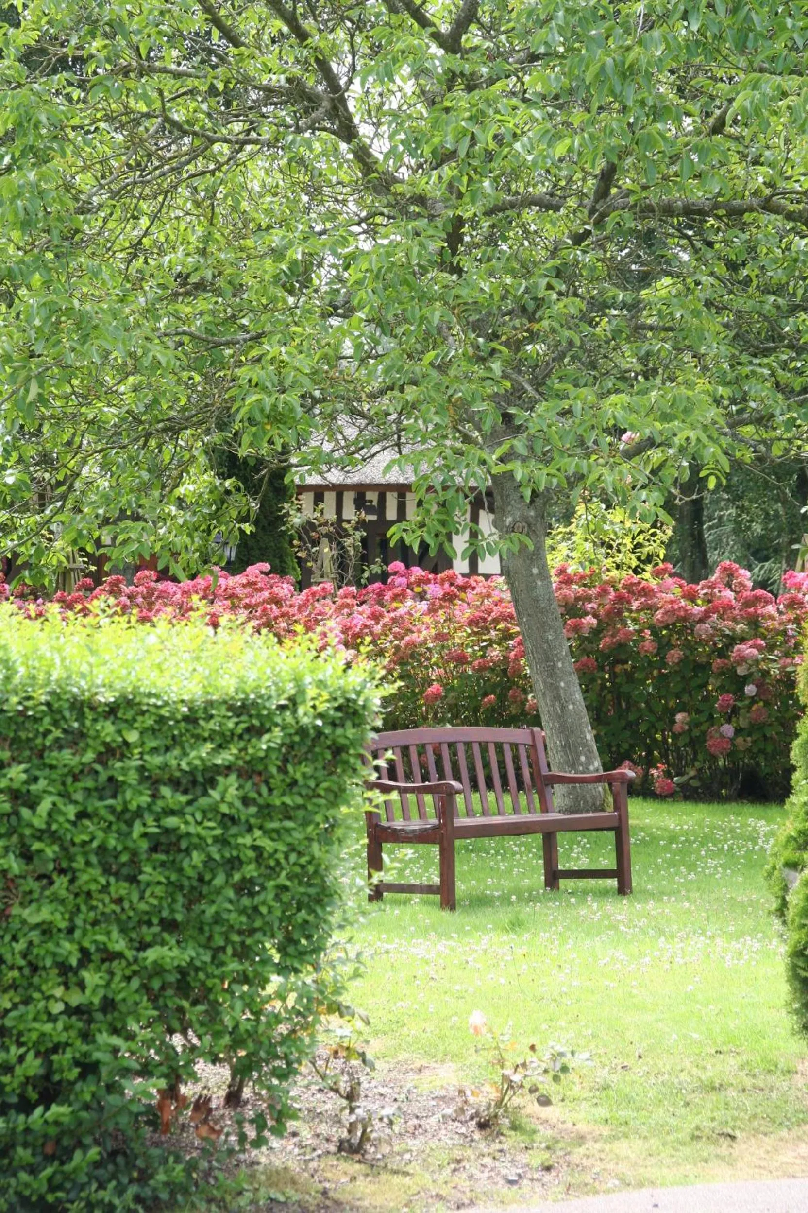 Garden in Logis Hôtel Restaurant - Le Clos Deauville Saint Gatien