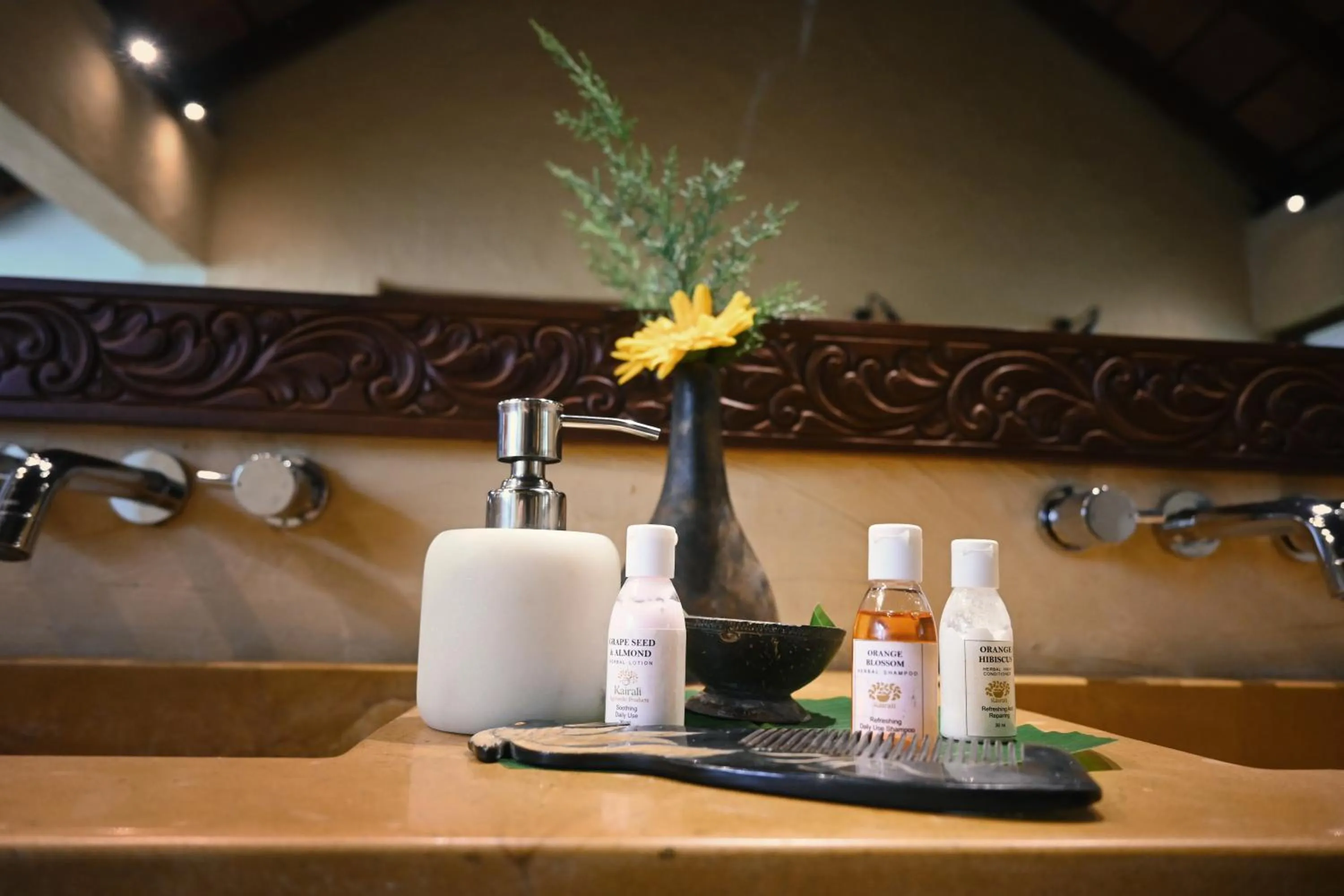 Bathroom in Ameya Kerala