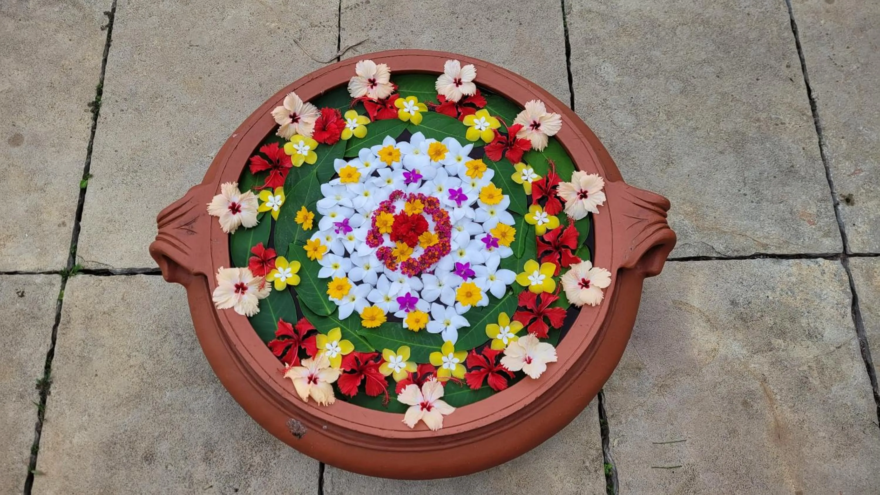 Garden in Ameya Kerala