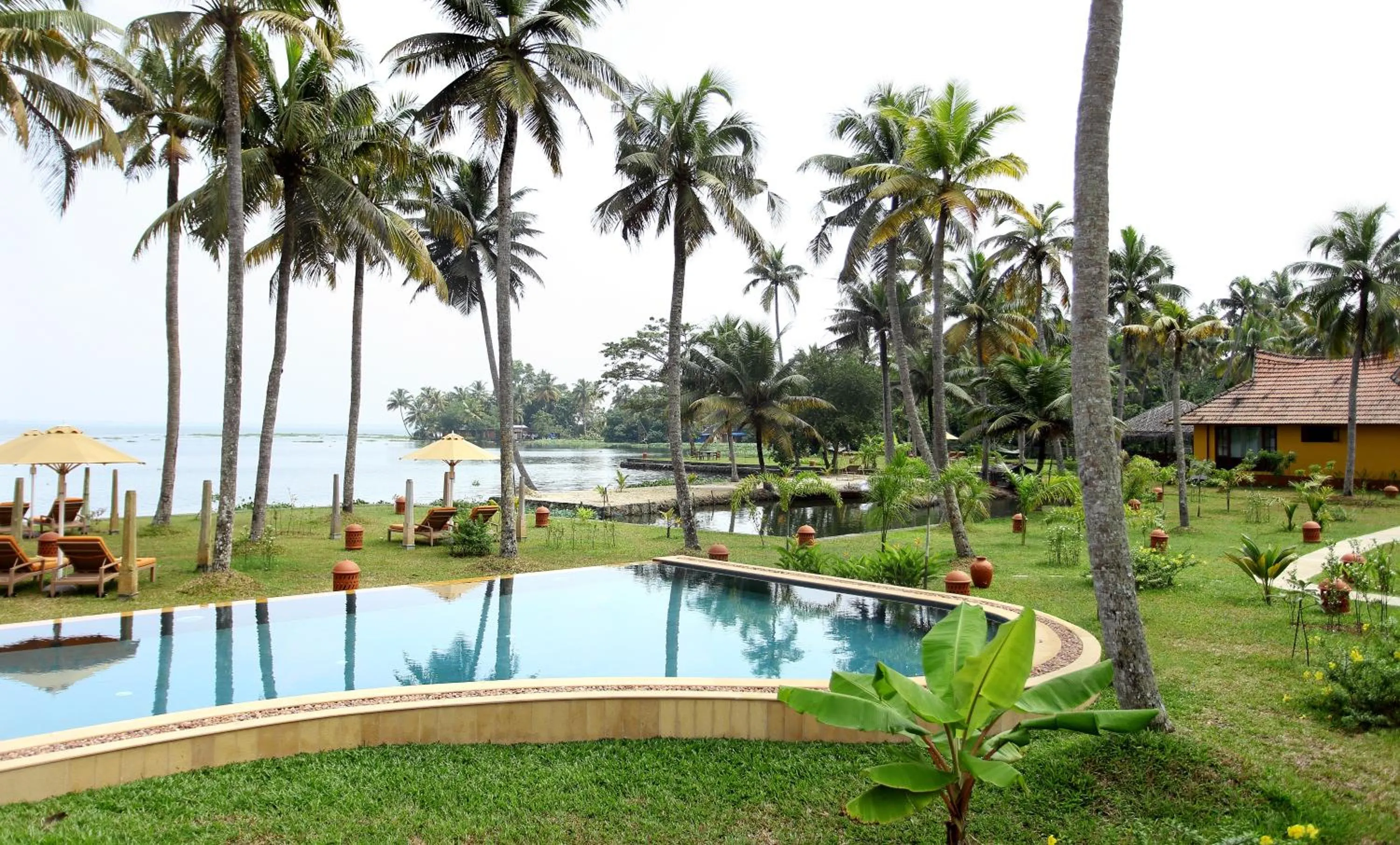 Swimming pool in Ameya Kerala