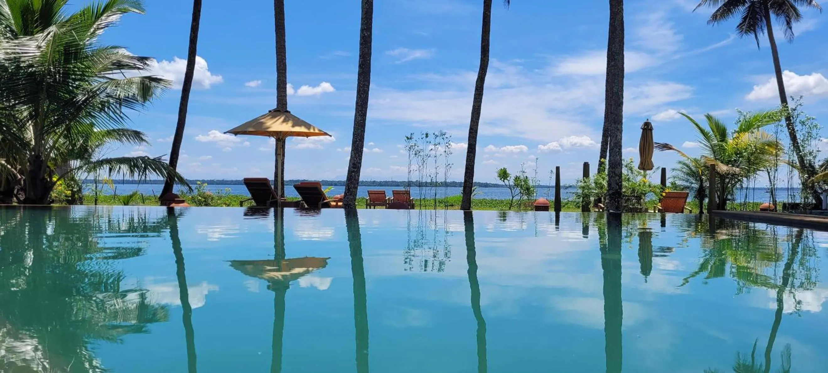 Pool view in Ameya Kerala