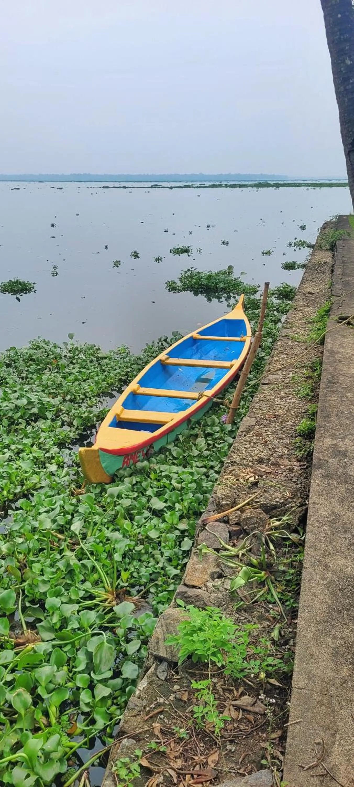 Canoeing in Ameya Kerala