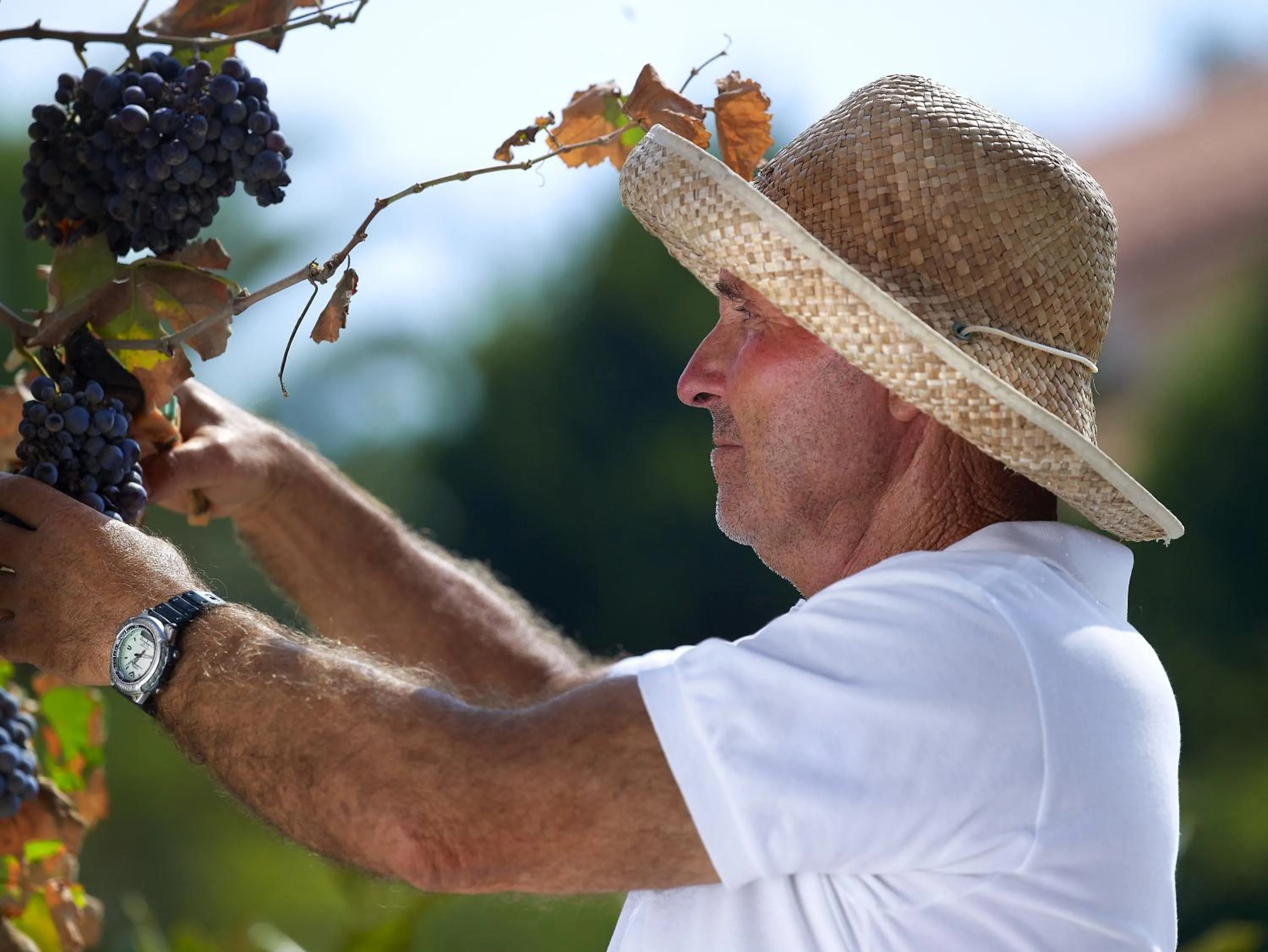 Activities in Aeolis Apartments & Studios