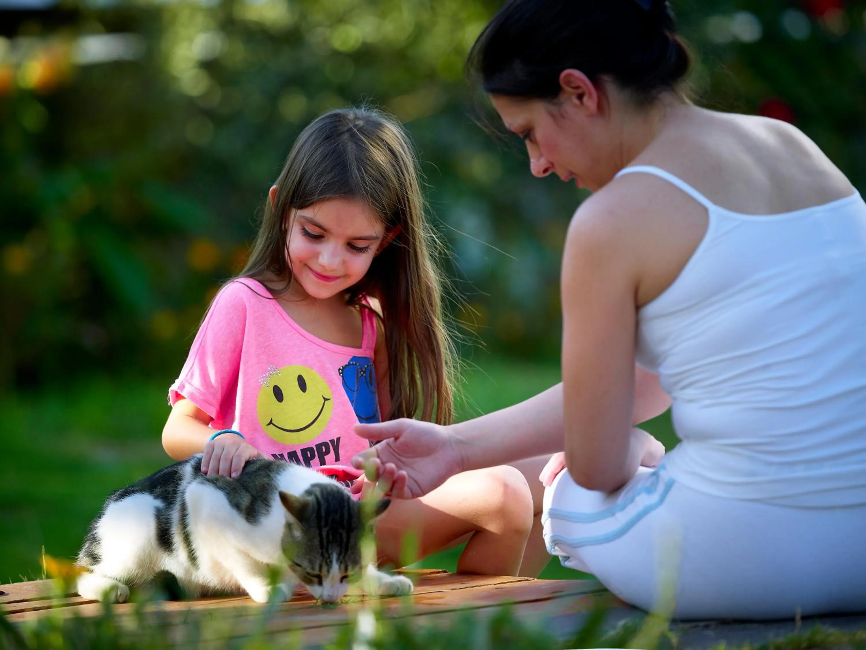 Pets in Aeolis Apartments & Studios