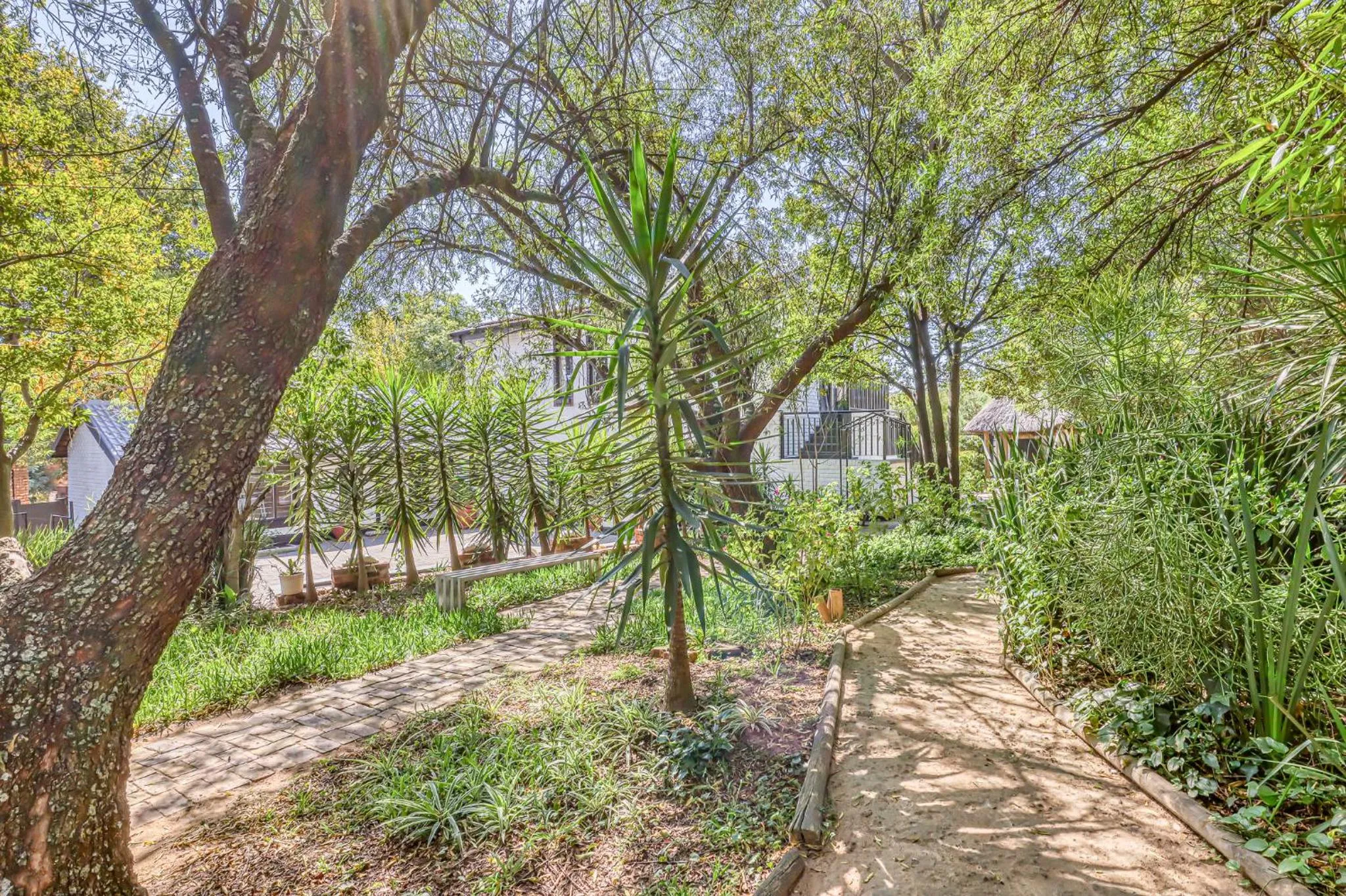Garden view in The Bedford Manor