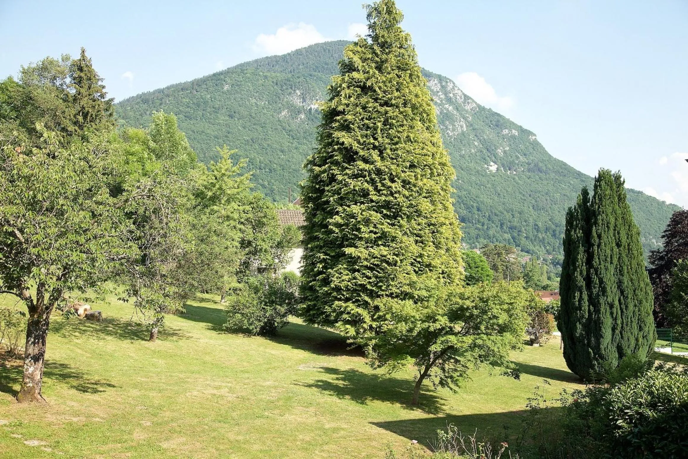 Garden in Centre Jean XXIII